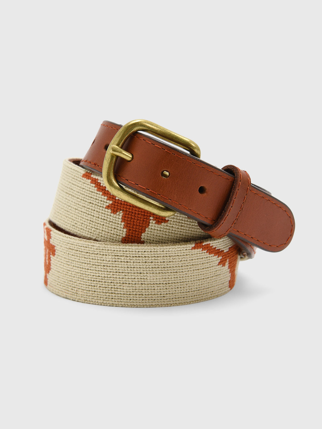Smathers & Branson Men's University of Texas Needlepoint Belt - Saint Bernard