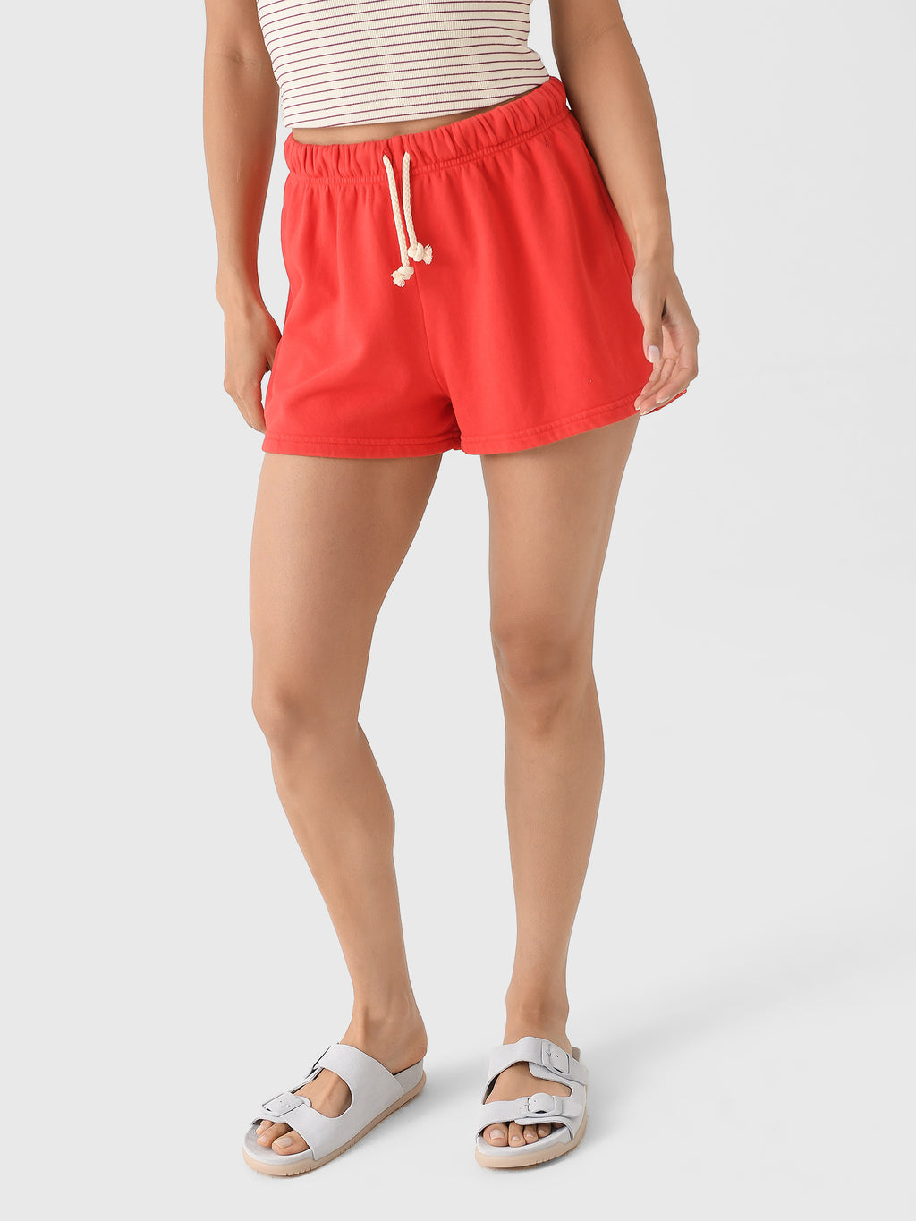 Perfect White Tee Women's Layla Sweatshort - Saint Bernard