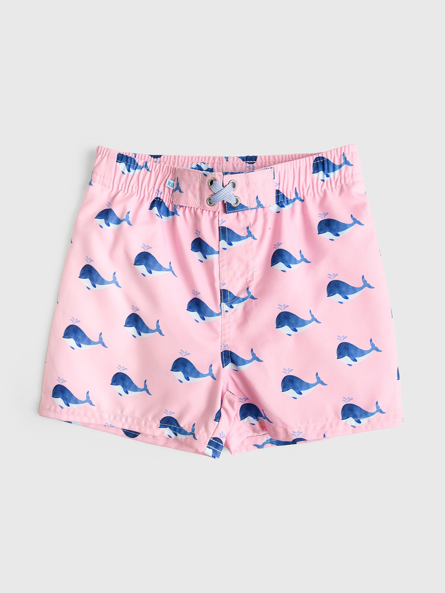 Rufflebutts Boys' Swim Trunk - Saint Bernard
