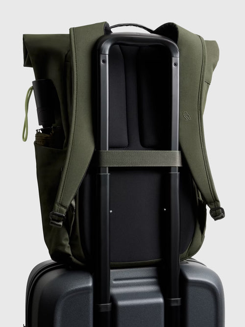 Bellroy Classic Rolltop Backpack