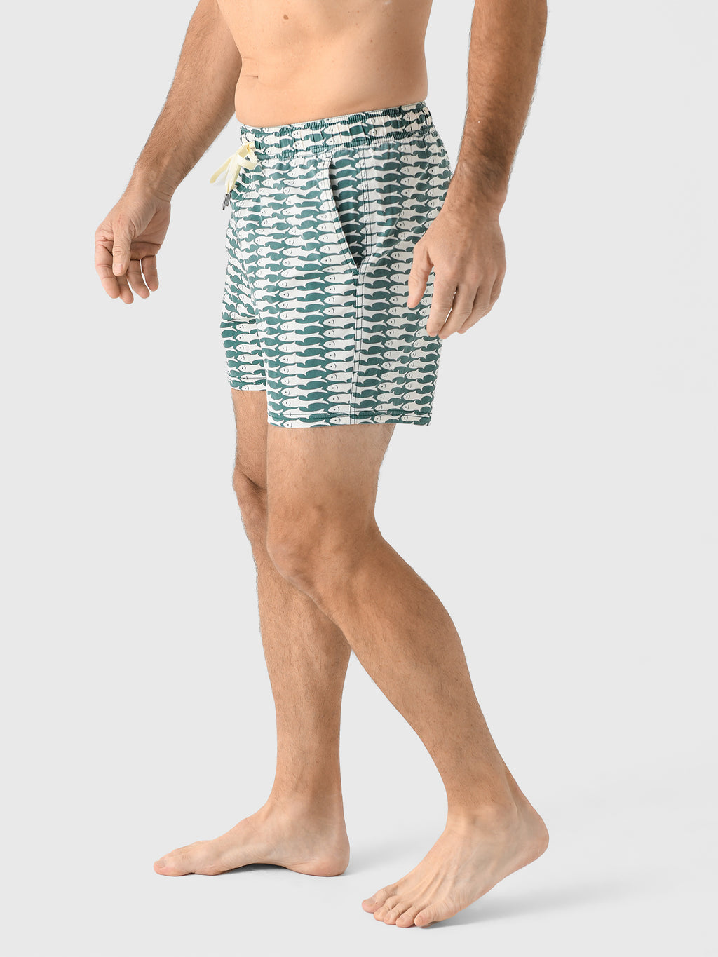 BGL5xGREENSARDINE-alt2