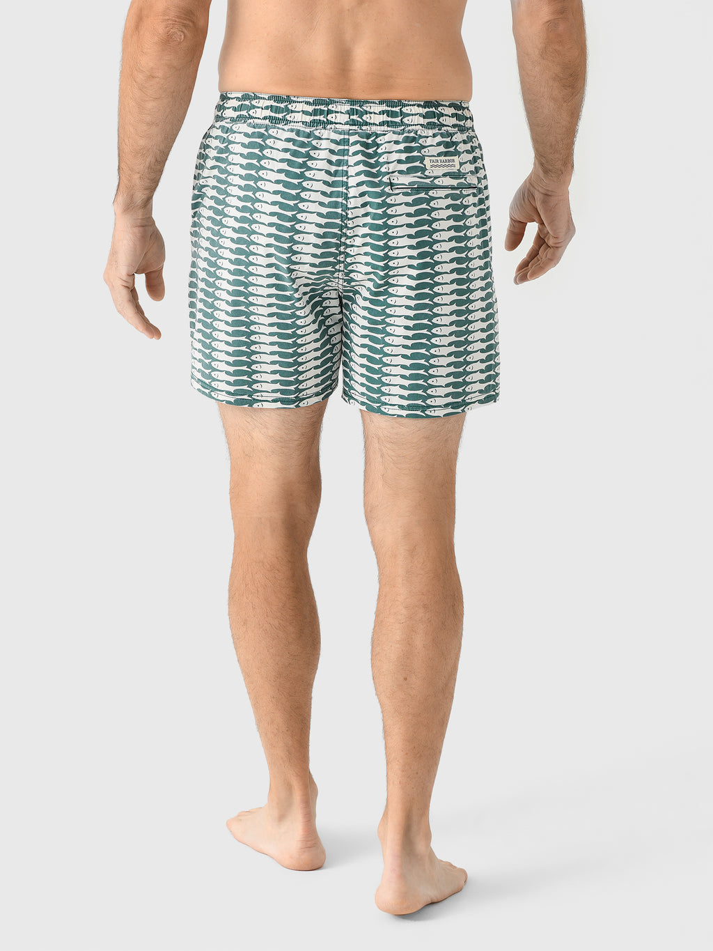 BGL5xGREENSARDINE-alt3