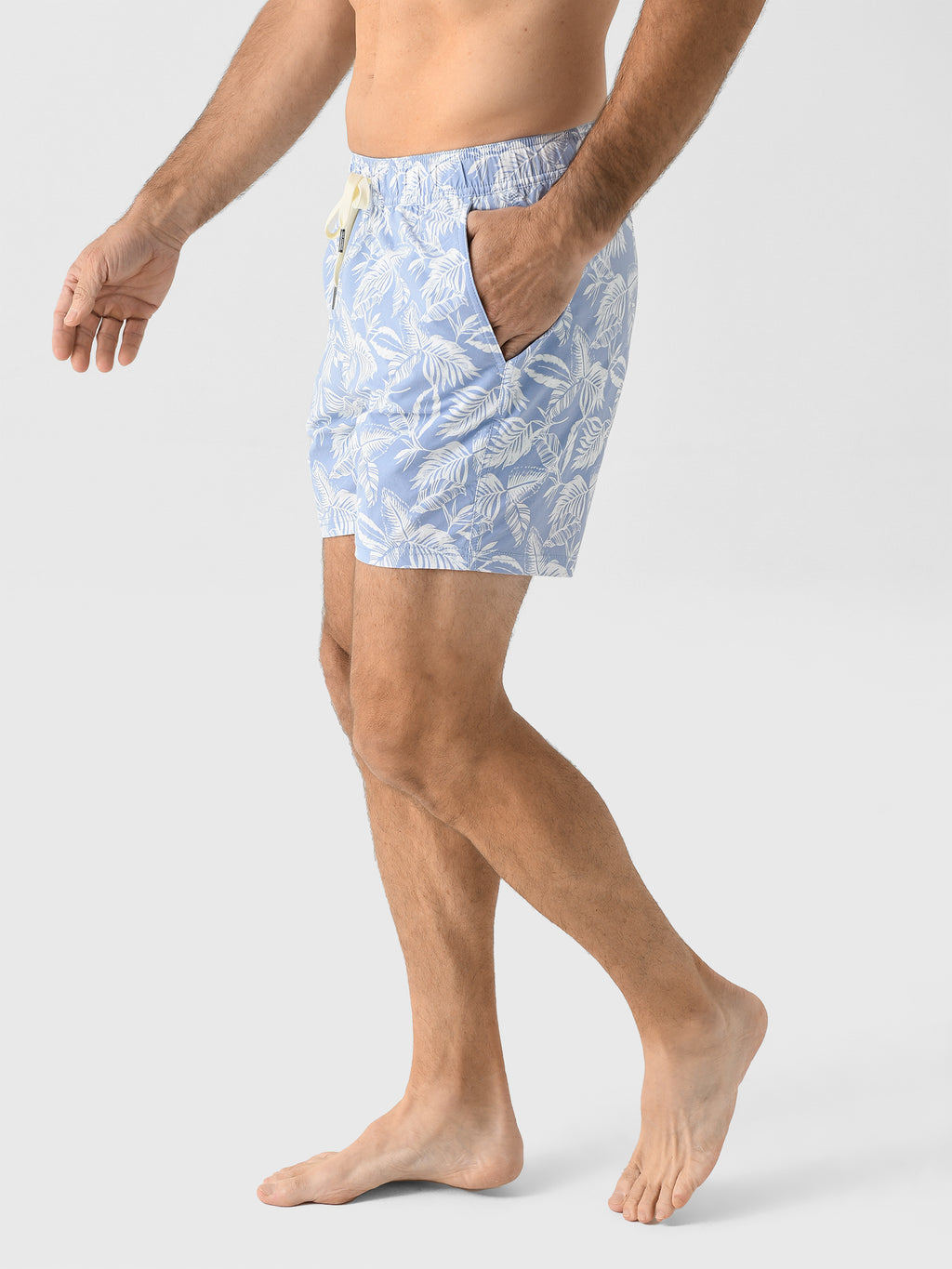 BGL5xSKYBLUELEAVES-alt2