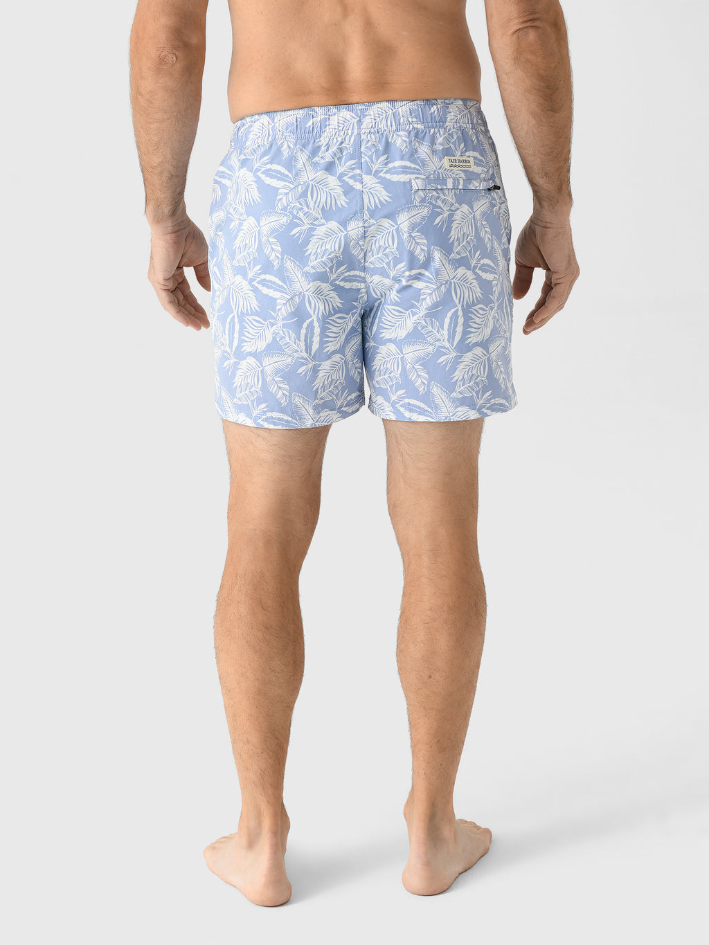 BGL5xSKYBLUELEAVES-alt3