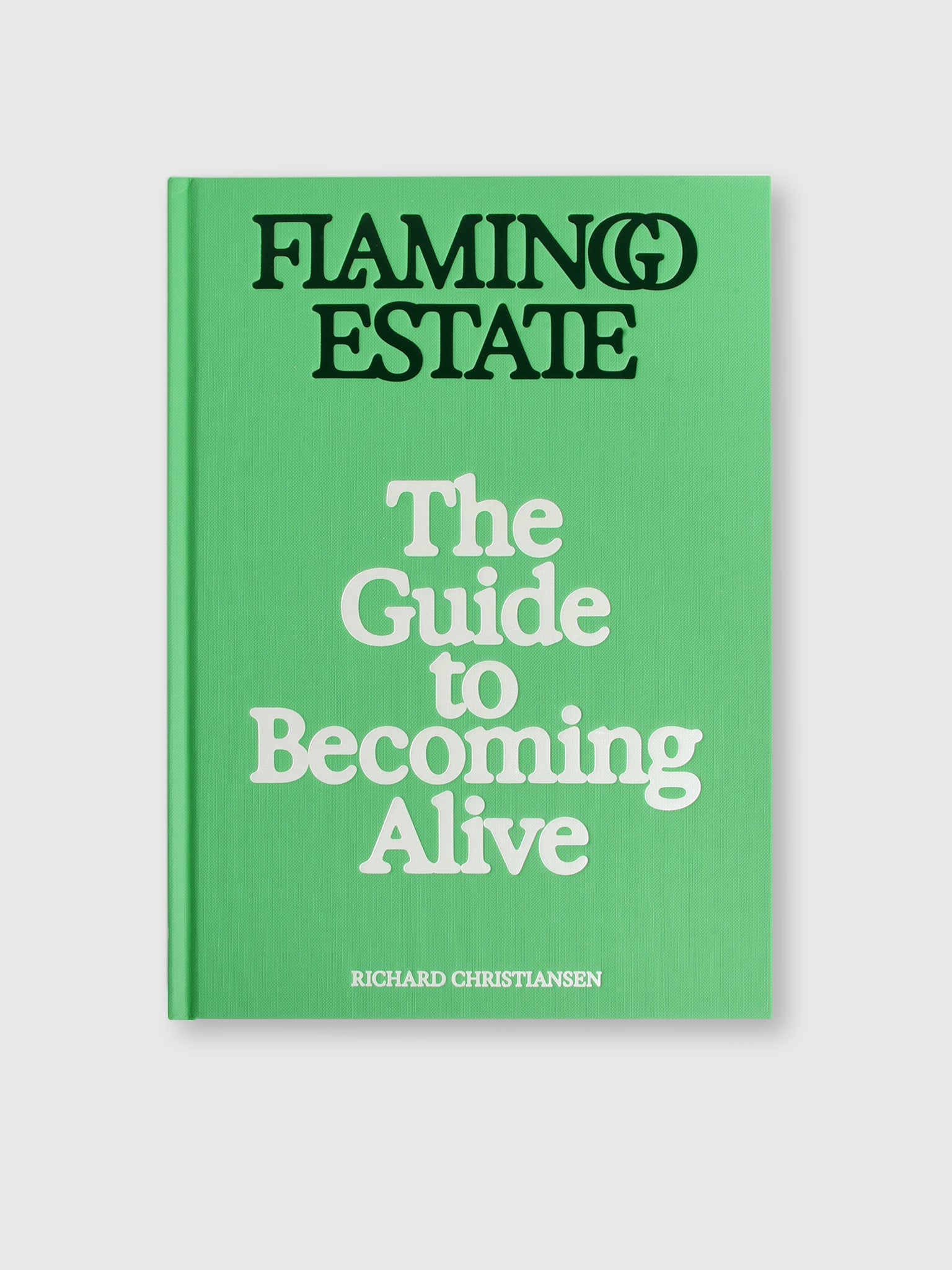 Flamingo Estate The Guide to Becoming Alive - Saint Bernard