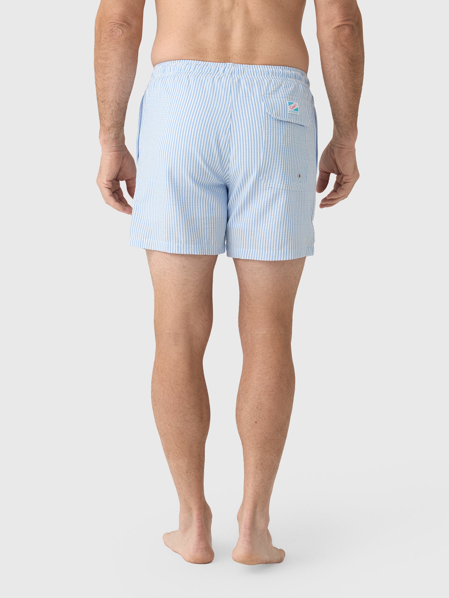 Bermies Men's Blue Swim Trunk - Saint Bernard