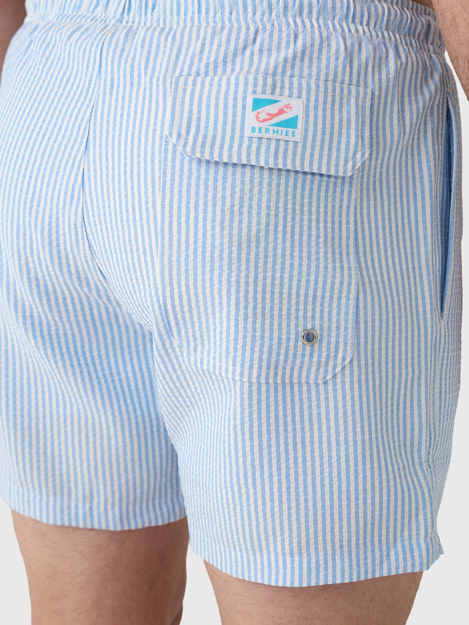 Bermies Men's Blue Swim Trunk - Saint Bernard