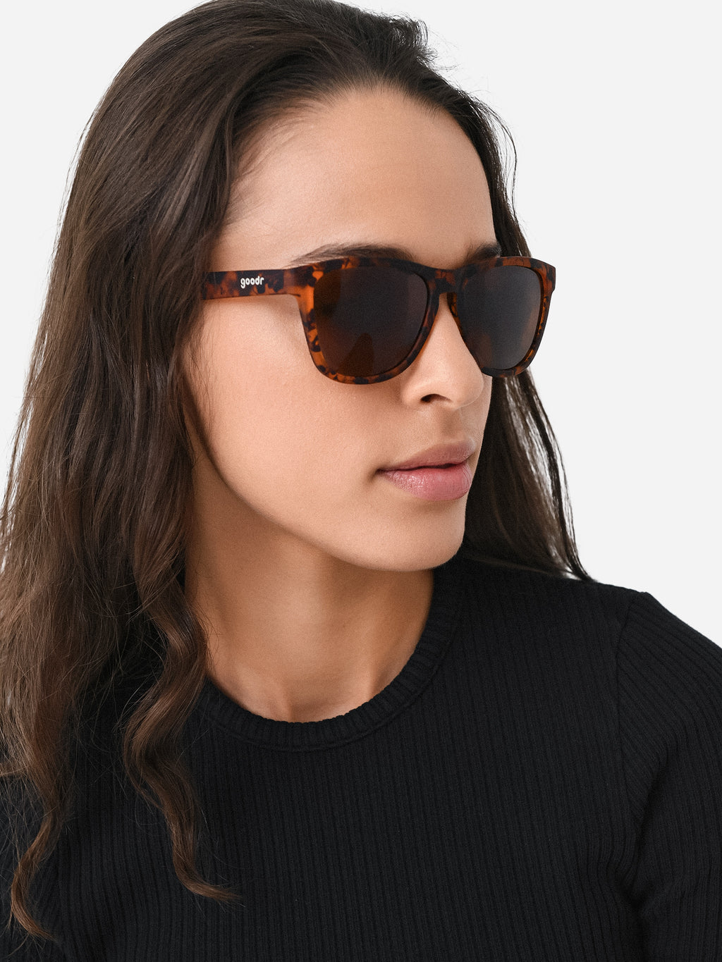 BOSLEYSBASSETHOUNDxTORTOISE-alt3