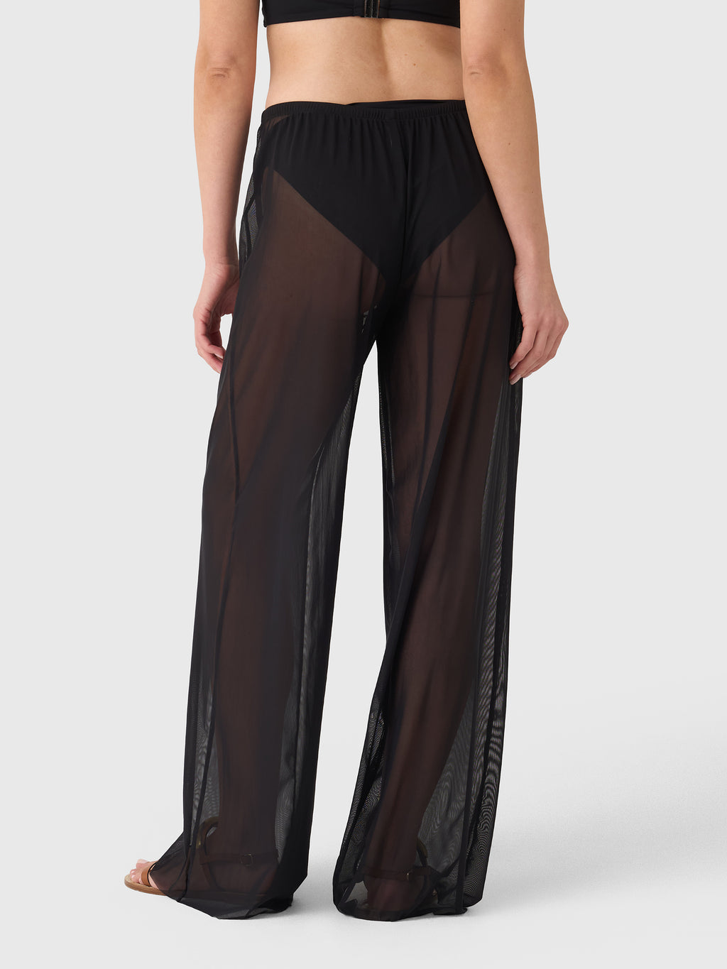 Bond Eye Women's Riley Pant - Saint Bernard