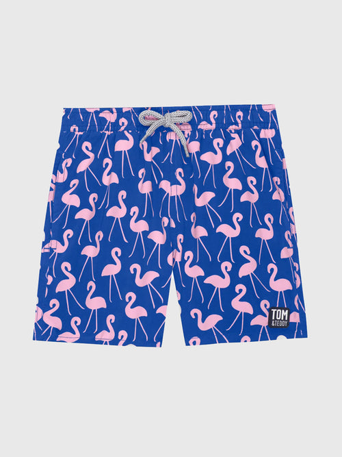 Tom & Teddy Boys' Flamingo Swim Trunk