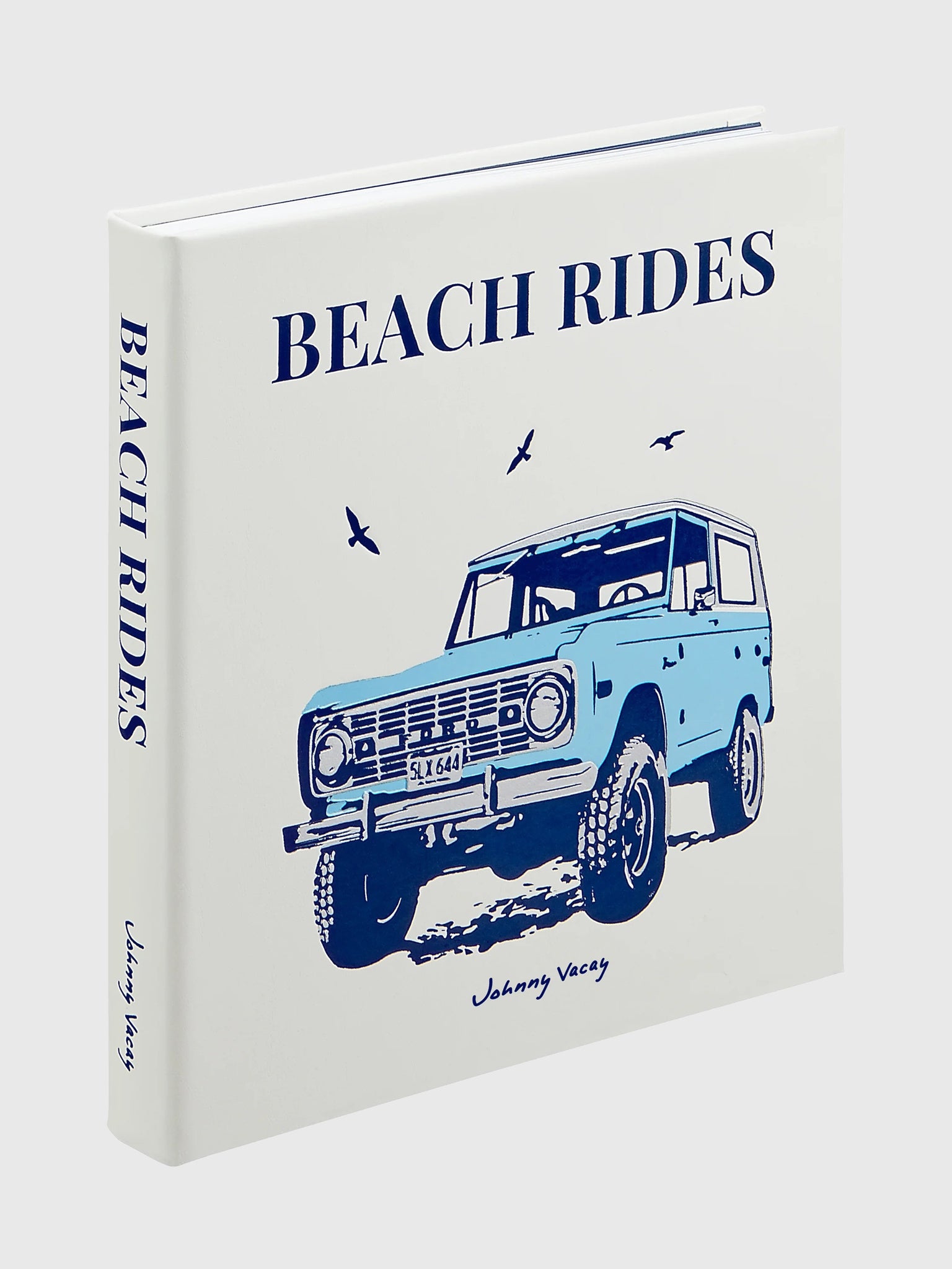 Graphic Image Beach Rides - Saint Bernard