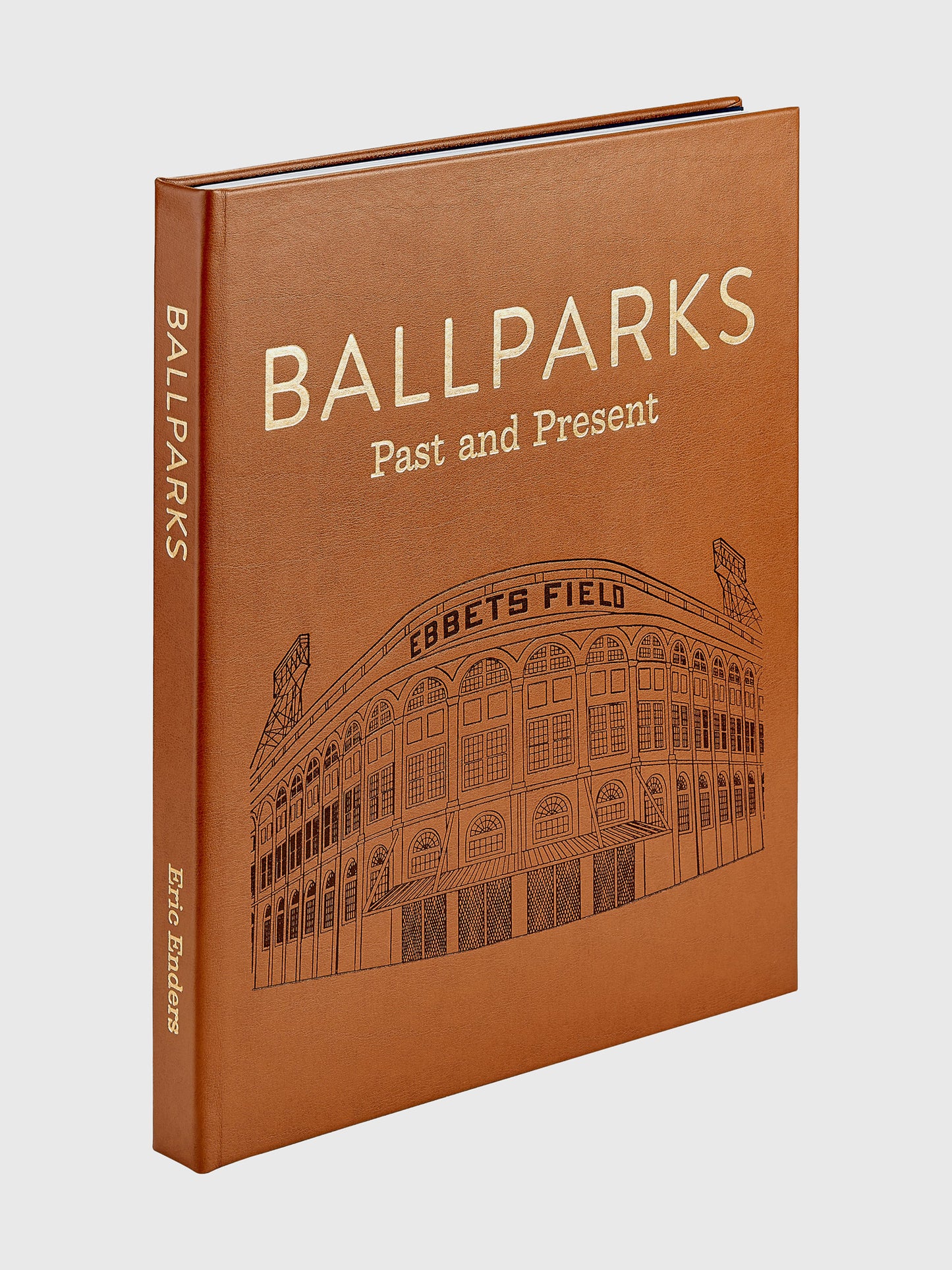 Graphic Image Ballparks Past + Present - Saint Bernard