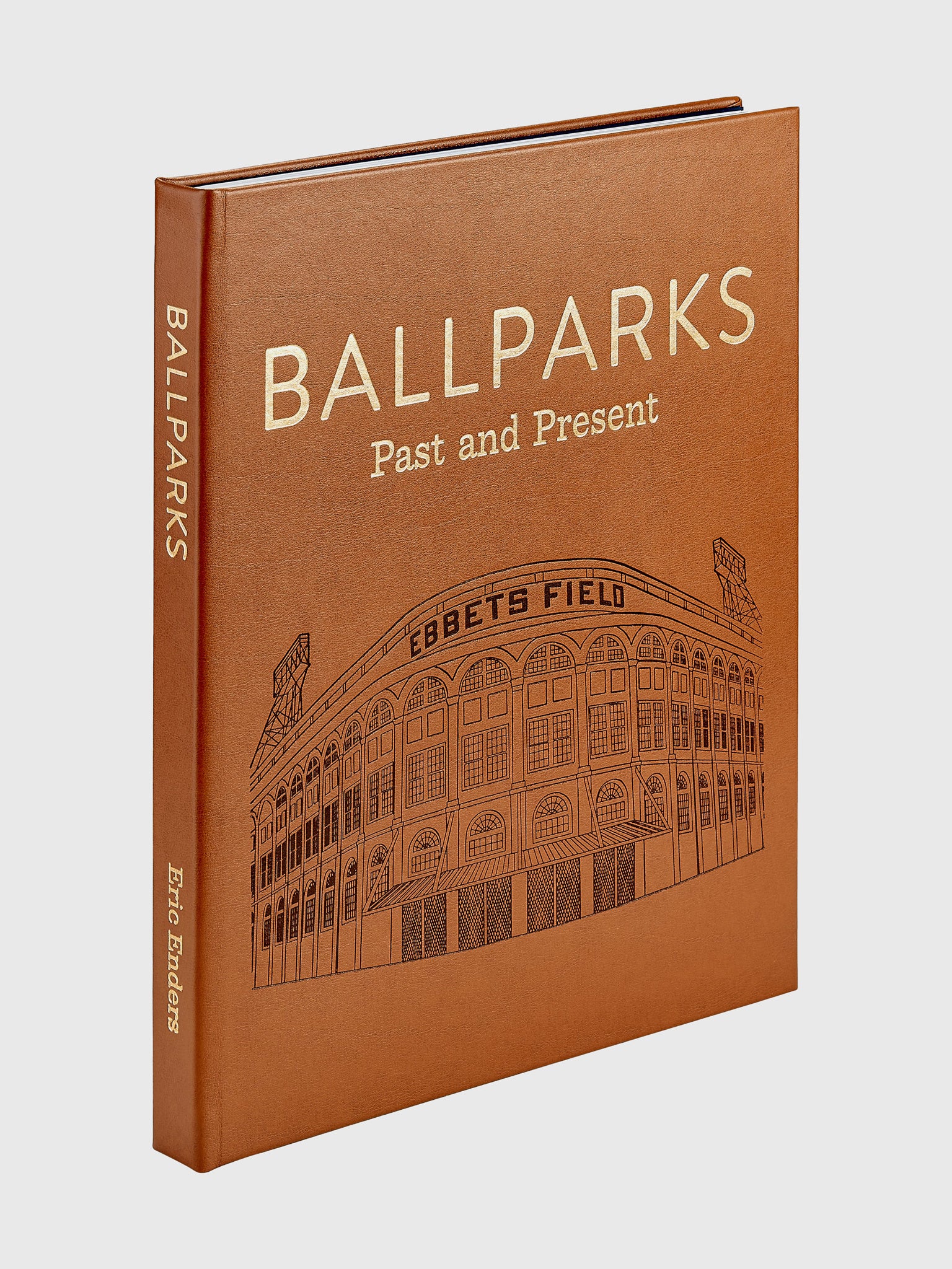 Graphic Image Ballparks Past + Present - Saint Bernard