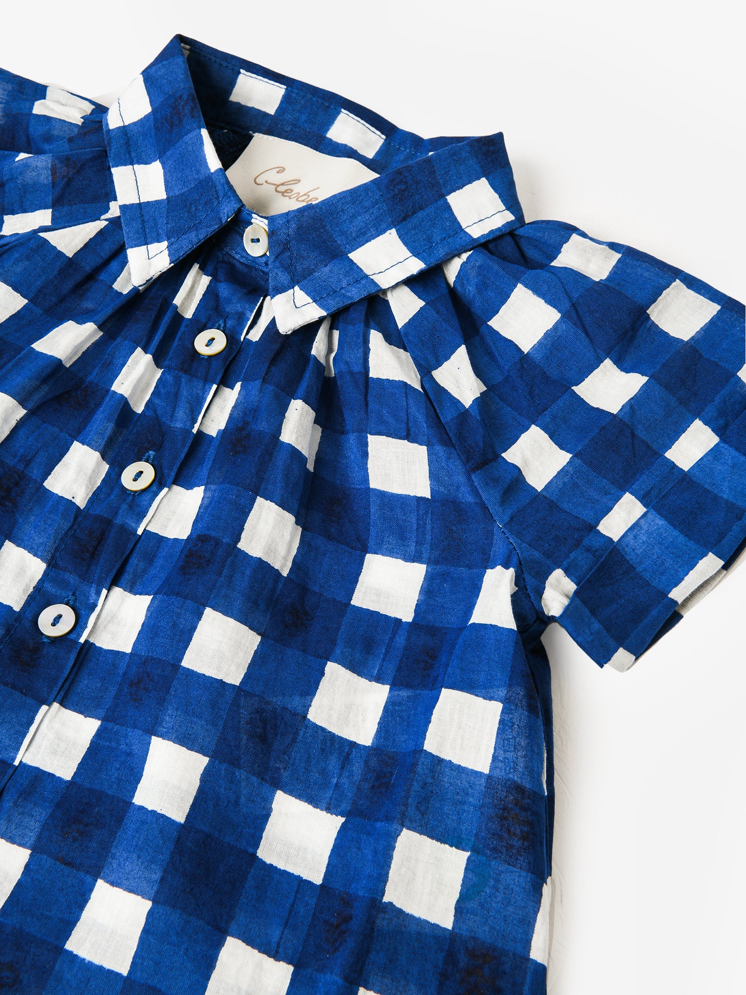 C23SP34085xPAINTERLYGINGHAM-alt1