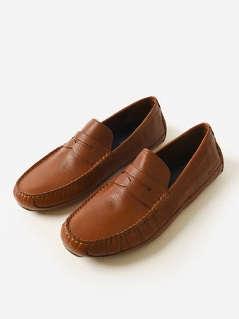 C38480xBRITISHTANNICOTINExPrim  display picture 1