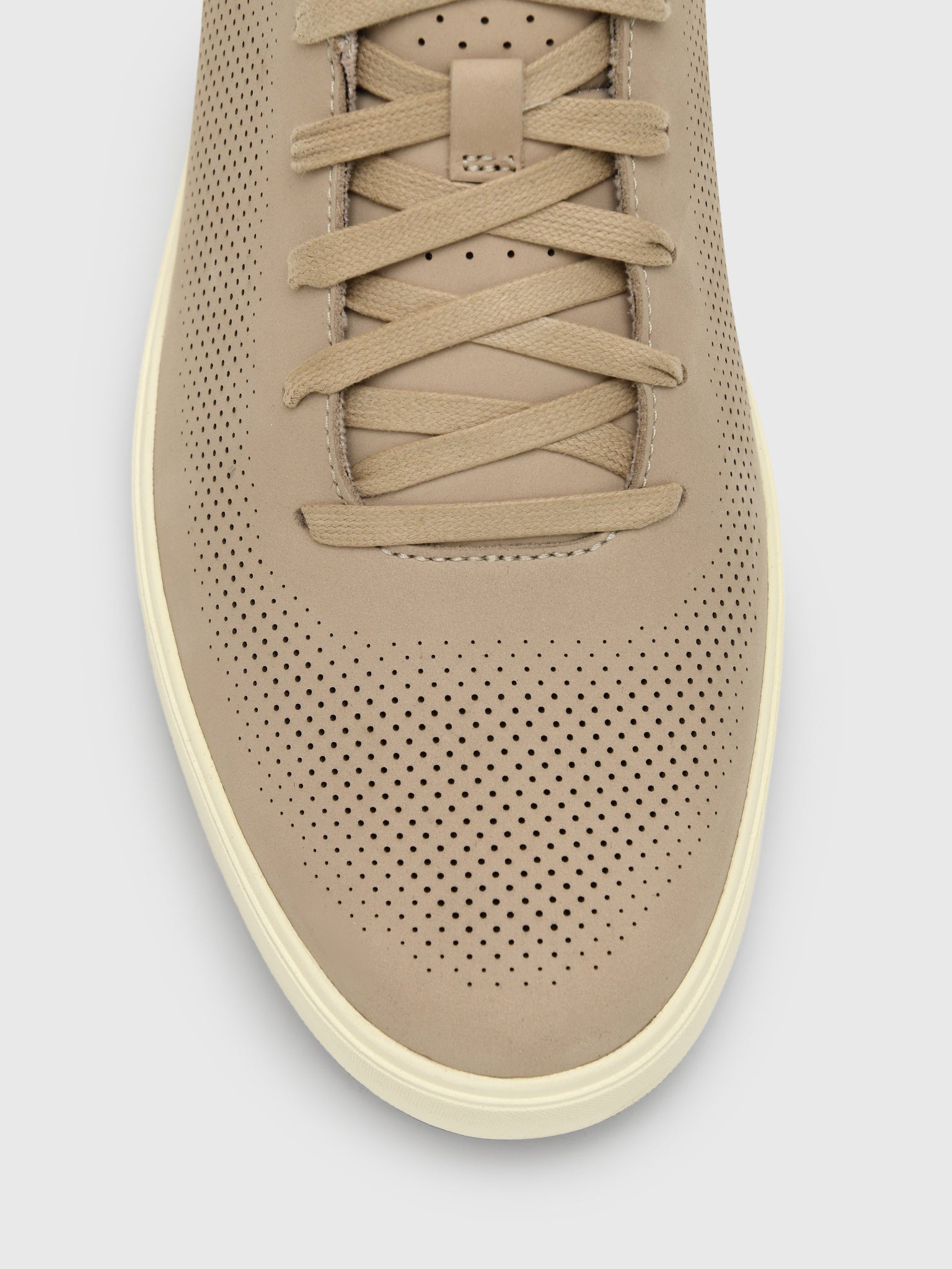 Cole Haan Men's GrandPrø Angleace Sneaker - Saint Bernard