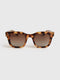 MAPLE AND CRYSTAL POLARIZED