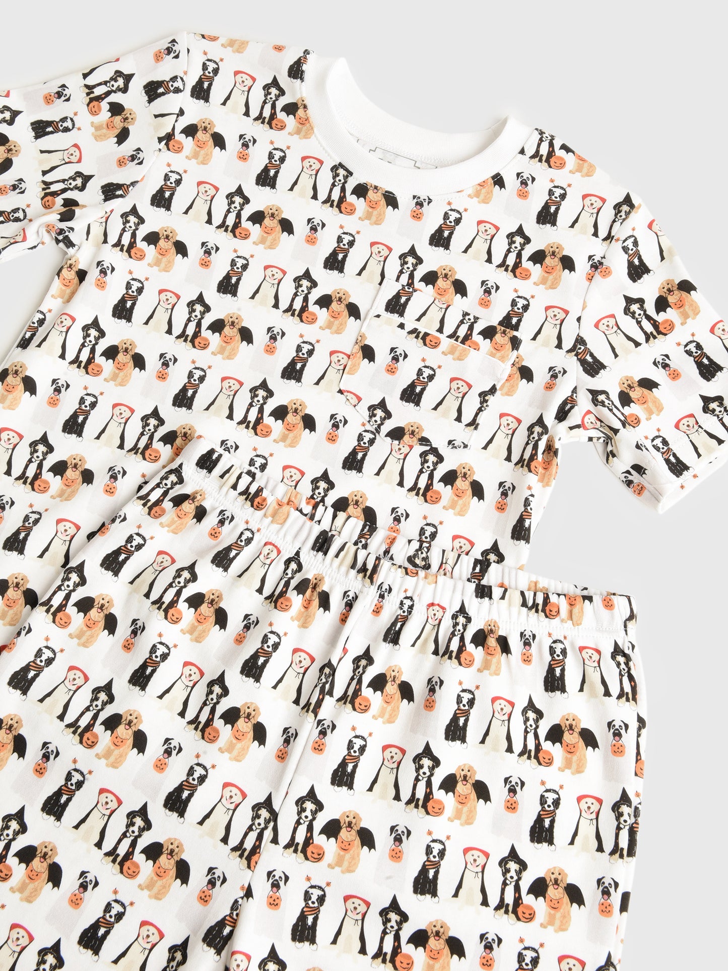 CHARLESSETxHALLOWEENPUPS-alt1