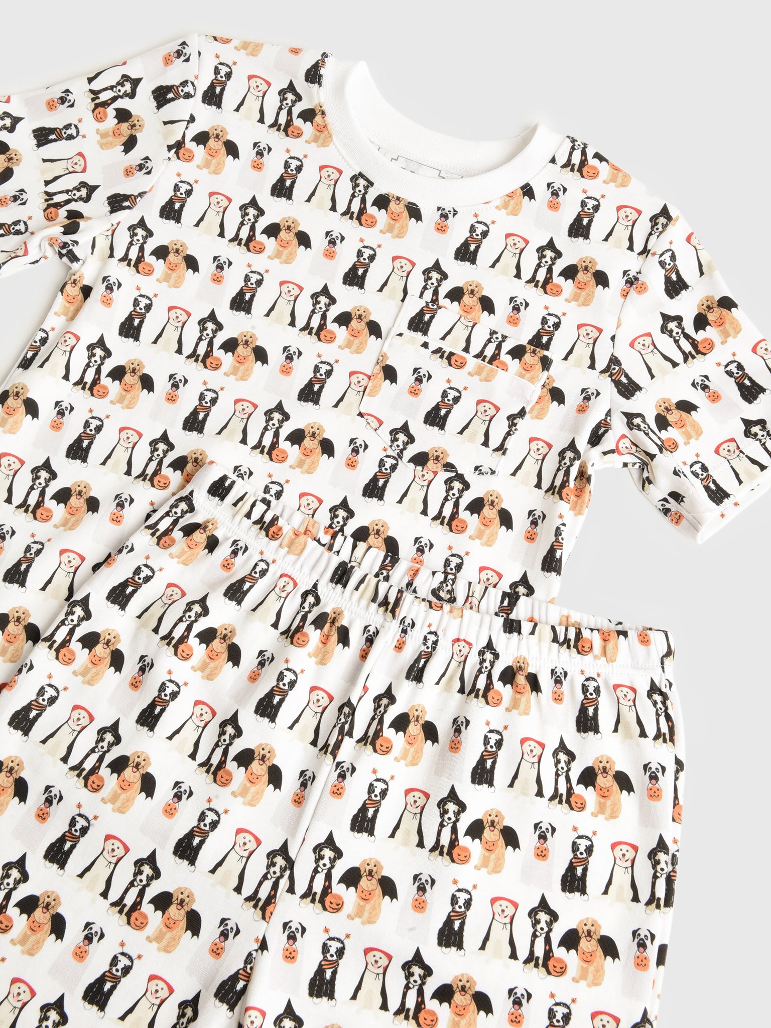 CHARLESSETxHALLOWEENPUPS-alt1