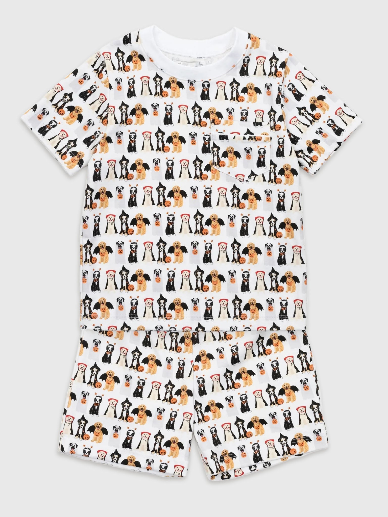 Lila And Hayes Boys' Charles Short Set - Saint Bernard