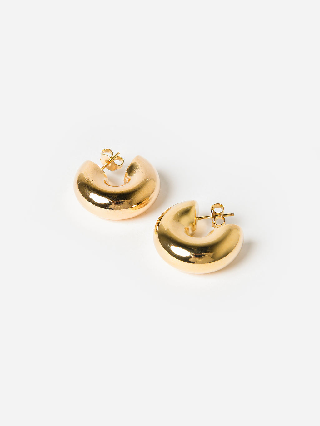 Alexa Leigh Women's Chubby Hoop Earrings - Saint Bernard