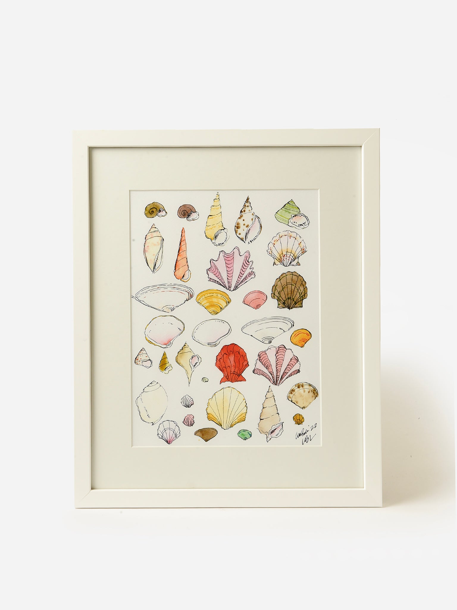 Lia Burke Libaire Colorful Shell Collection Framed Print - Saint Bernard
