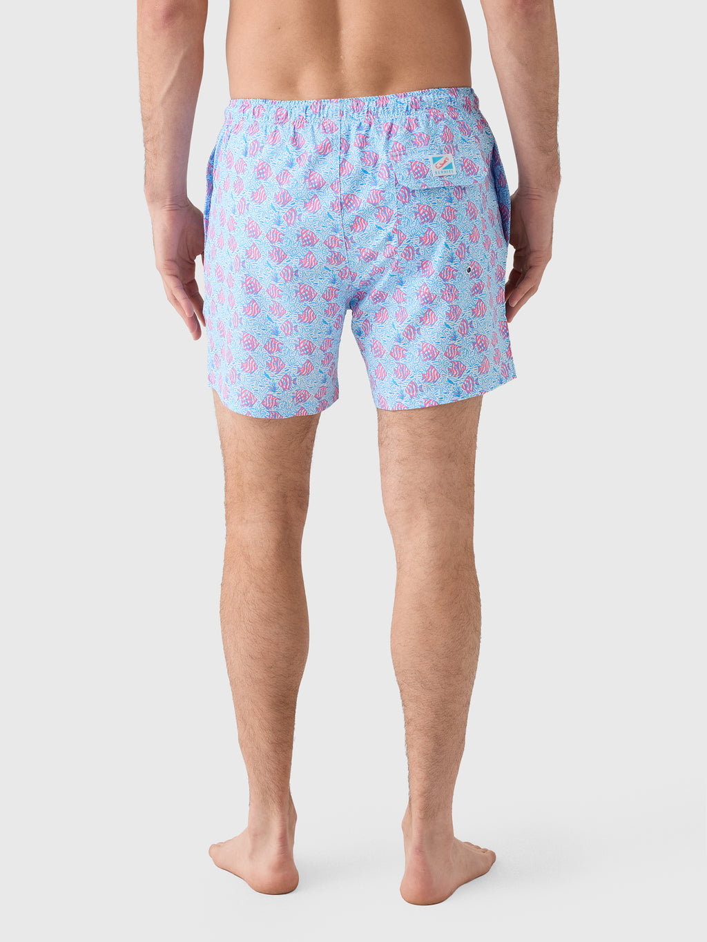 Bermies Men's Coral Fish Swim Trunk - Saint Bernard