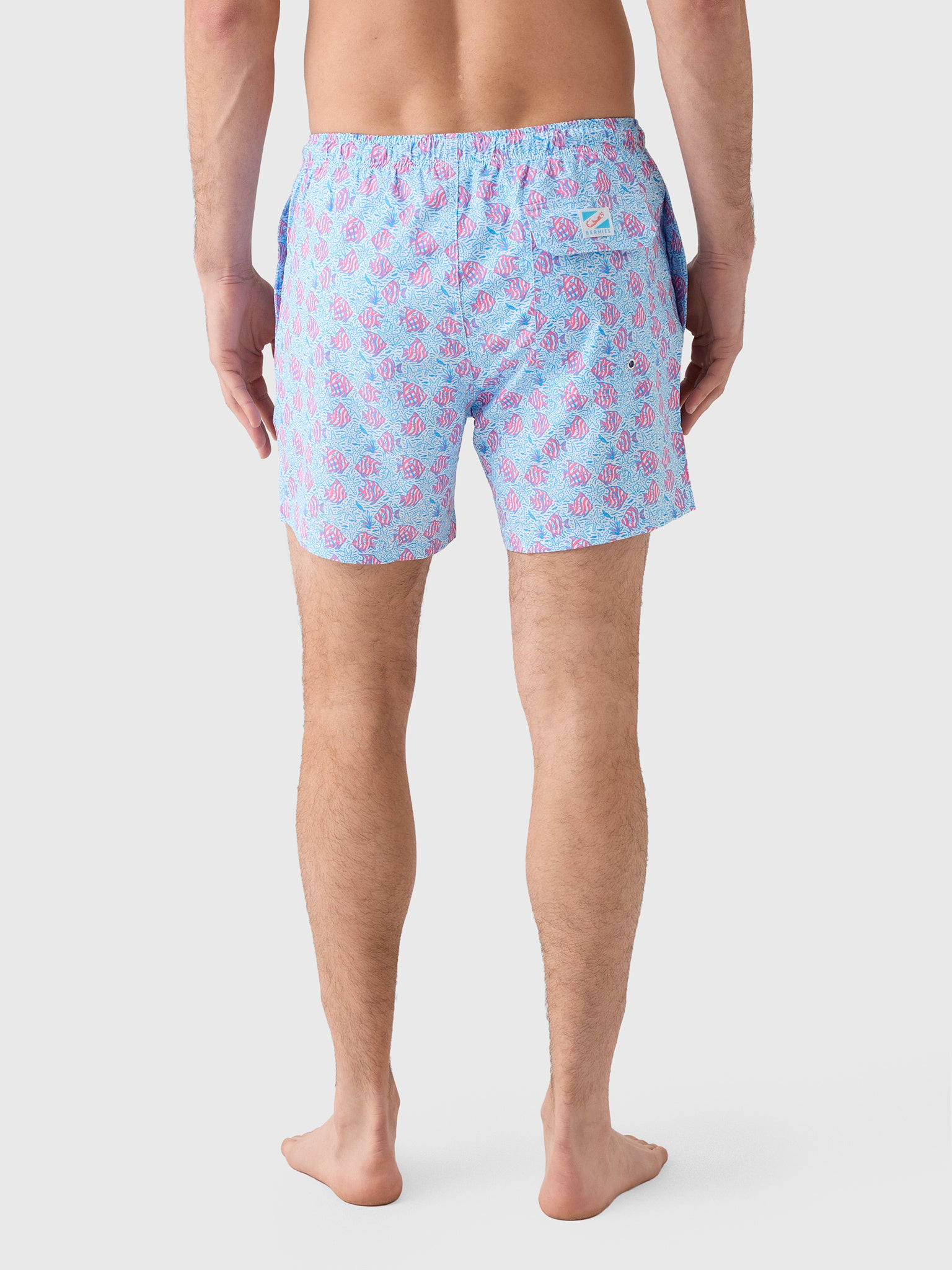 Bermies Men's Coral Fish Swim Trunk - Saint Bernard
