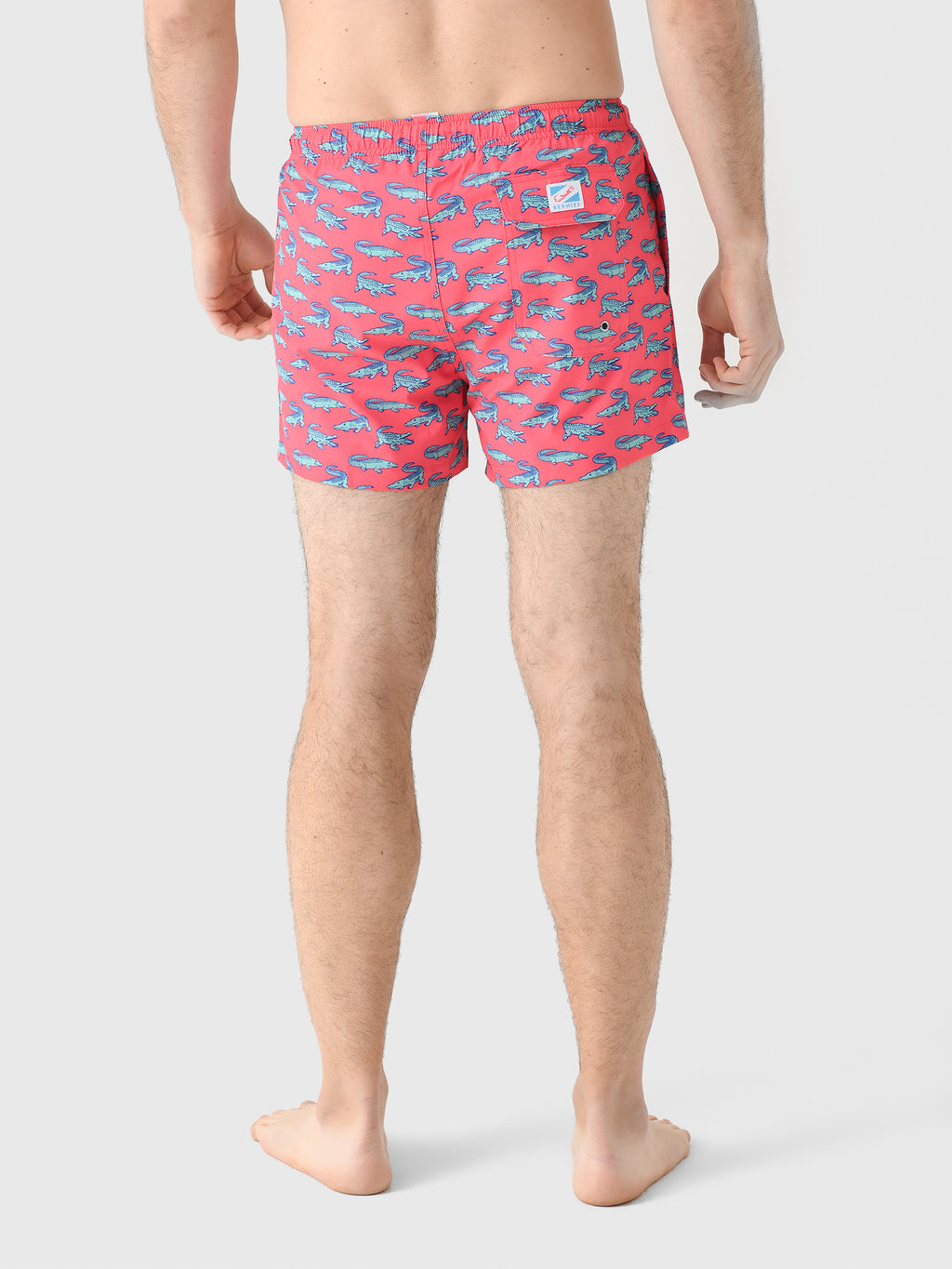 CROCODILE-SHOLxCROCODILE-alt3