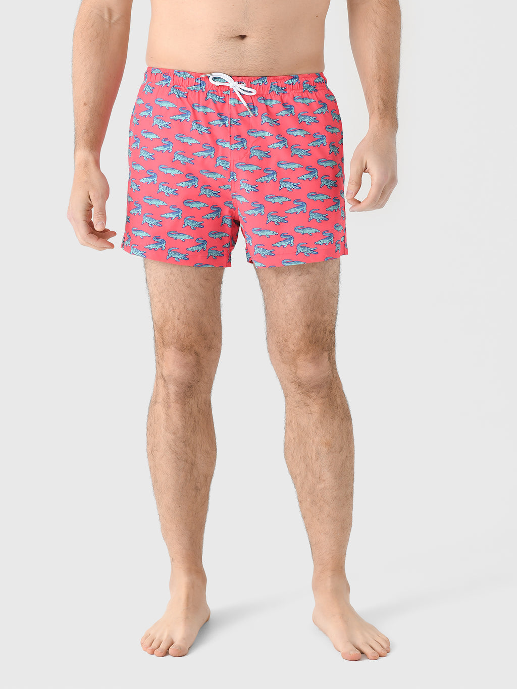 Bermies Men's Crocodile Swim Trunk - Saint Bernard