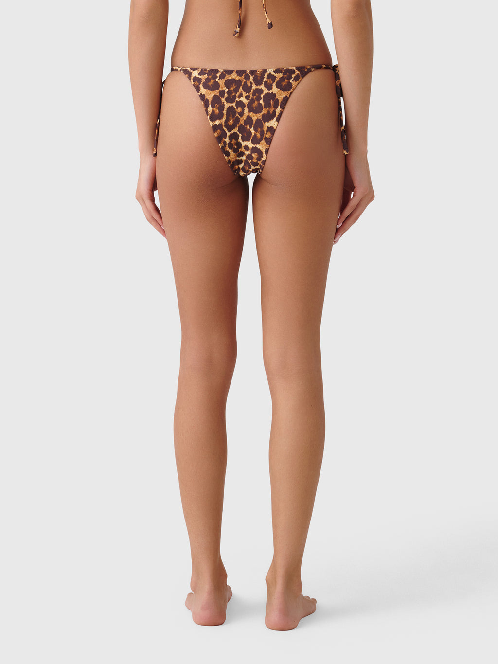 Tropic of C Women's Praia Bikini Bottom - Saint Bernard