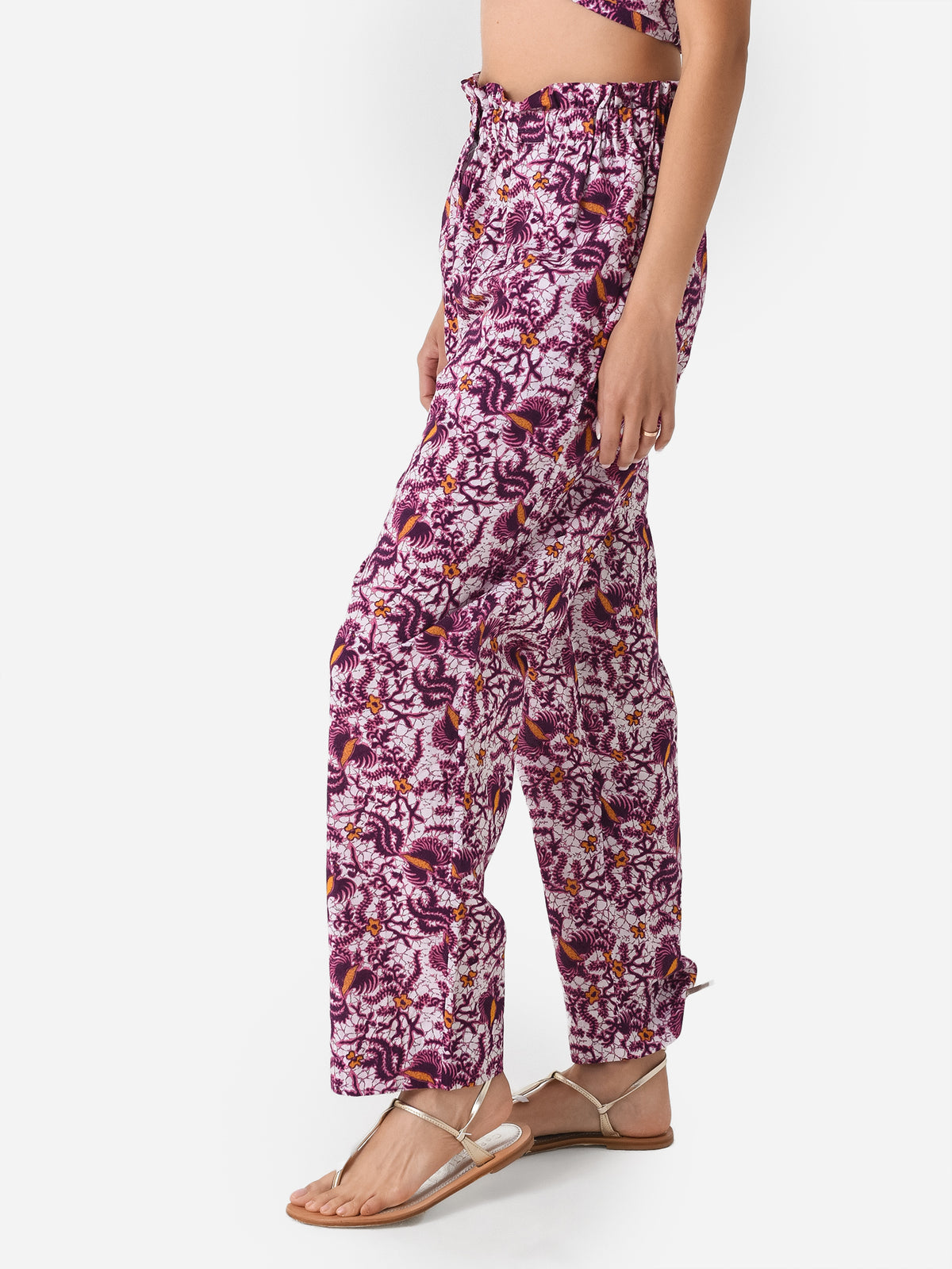 CSSP23009-PxPURPLE-alt2