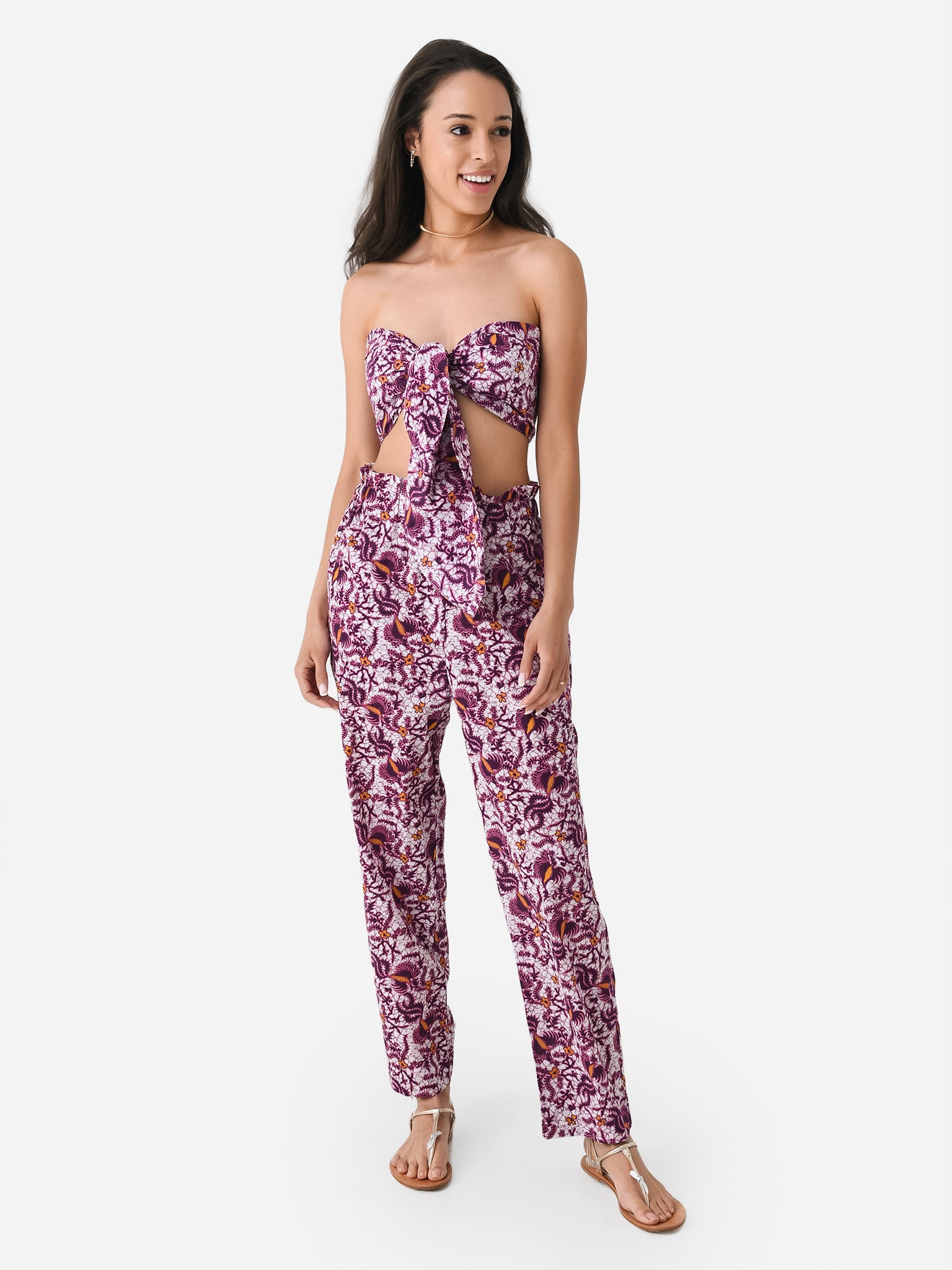 CSSP23009-TxPURPLE-alt1