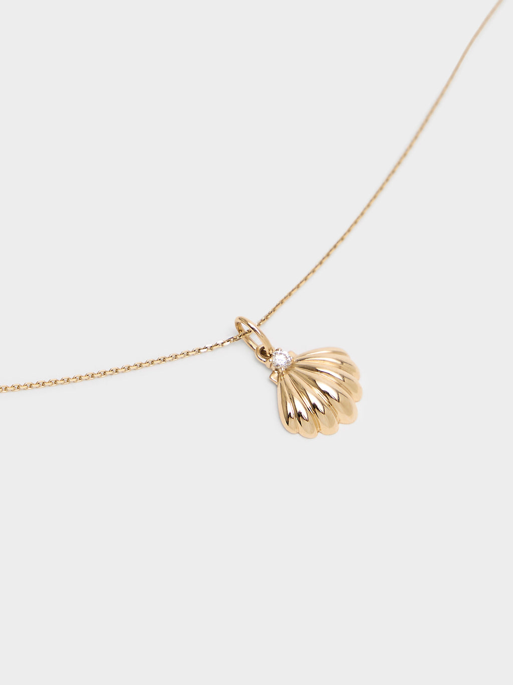 Stone And Strand Vintage Scallop Shell Necklace - Saint Bernard