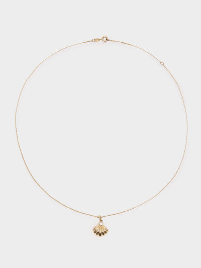 Stone And Strand Vintage Scallop Shell Necklace - Saint Bernard