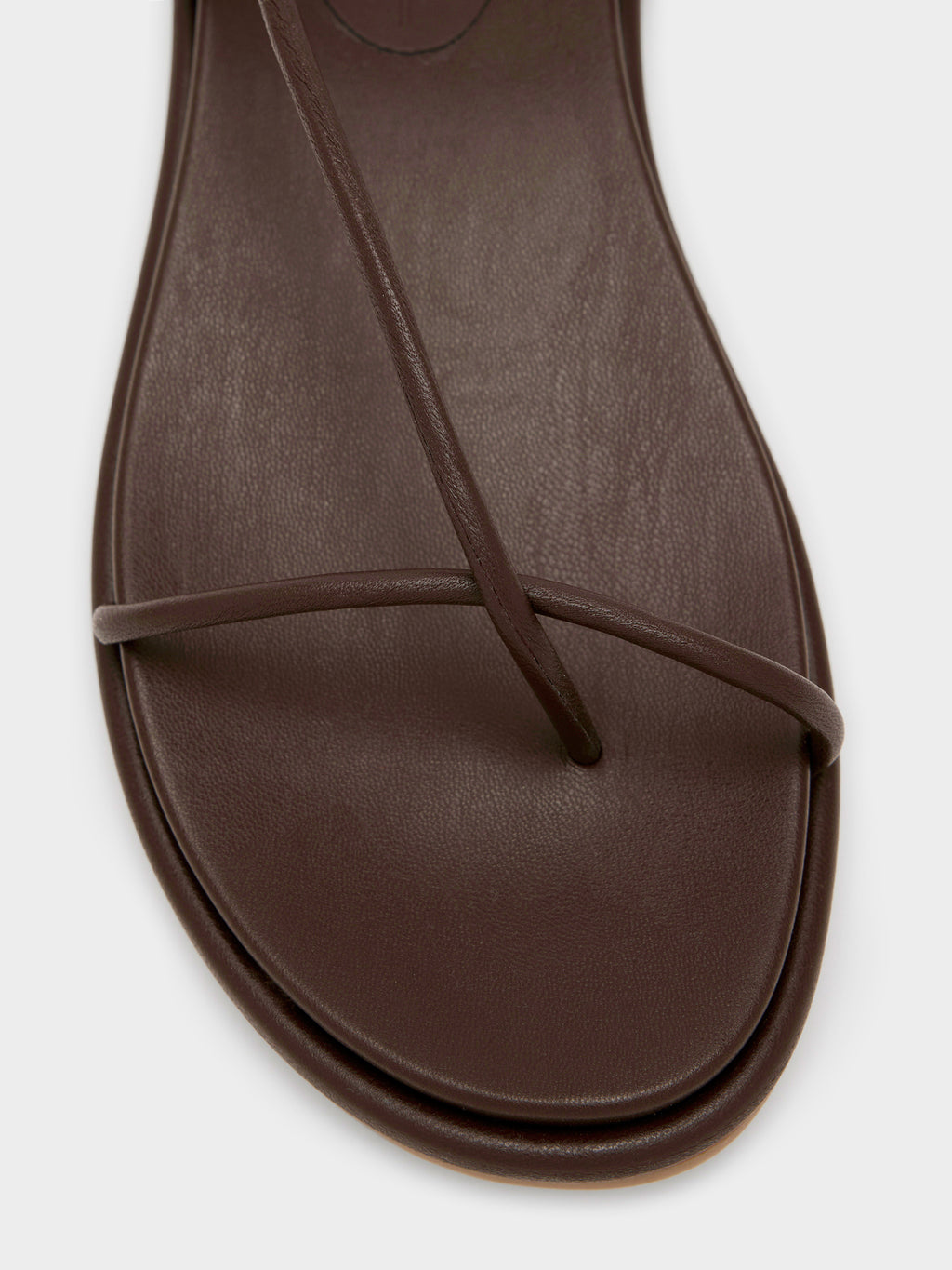 Dolce Vita Women's Dom Sandal - Saint Bernard