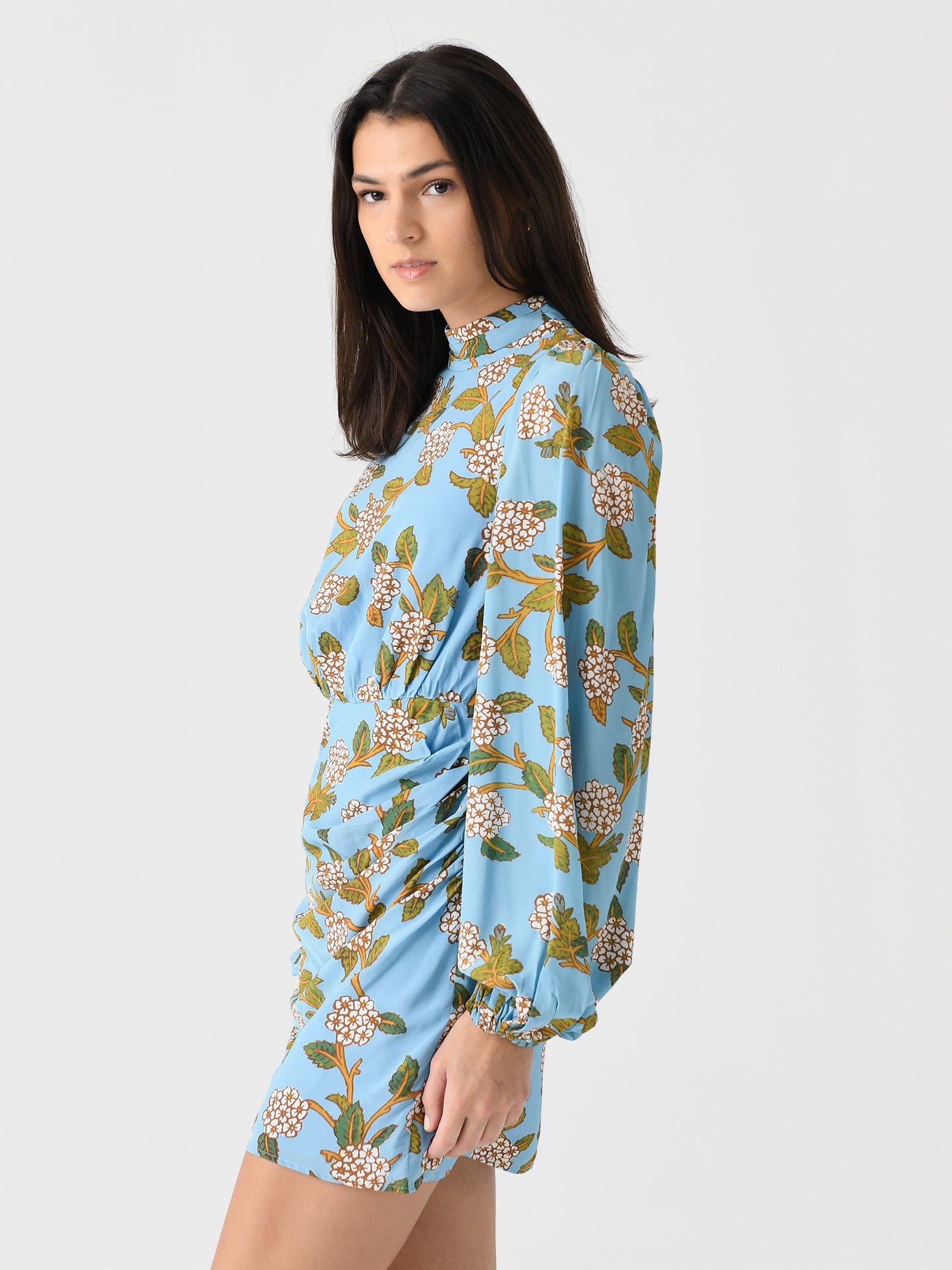 DR00593VPC-VPCxHYDRANGEABOTANICAL-alt2