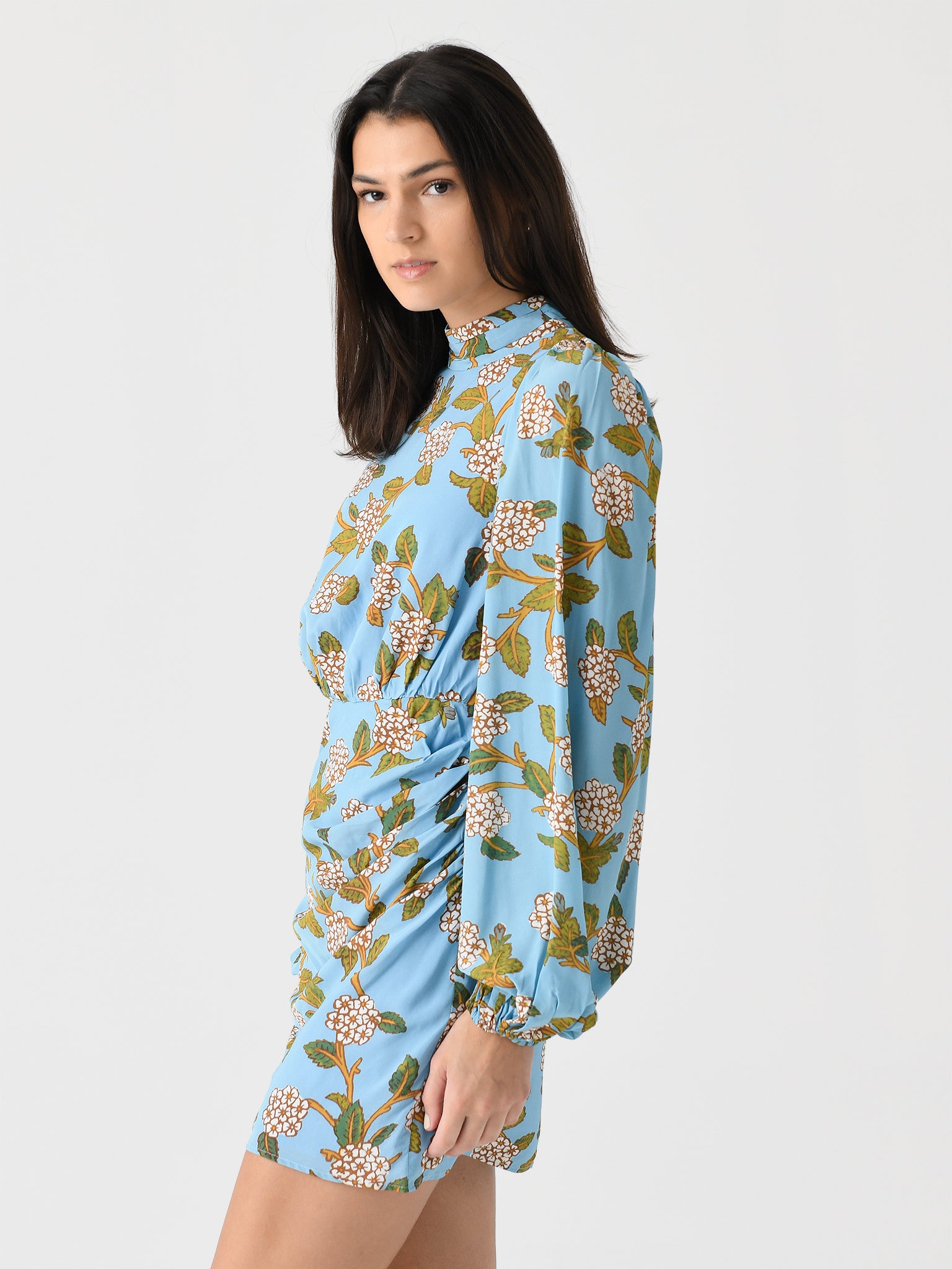 DR00593VPC-VPCxHYDRANGEABOTANICAL-alt2