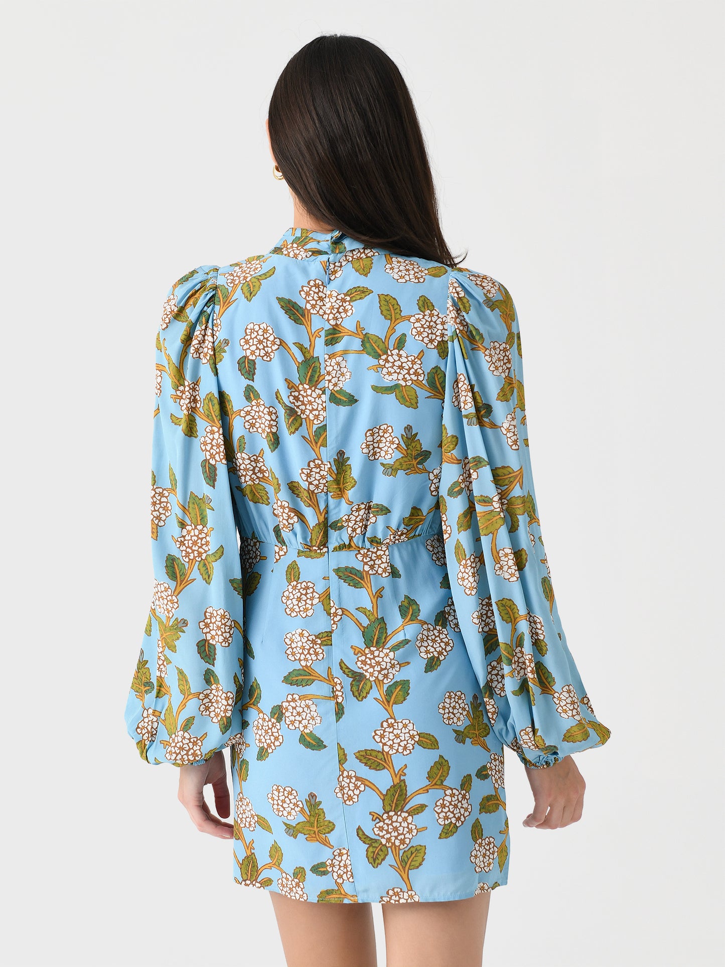 DR00593VPC-VPCxHYDRANGEABOTANICAL-alt3