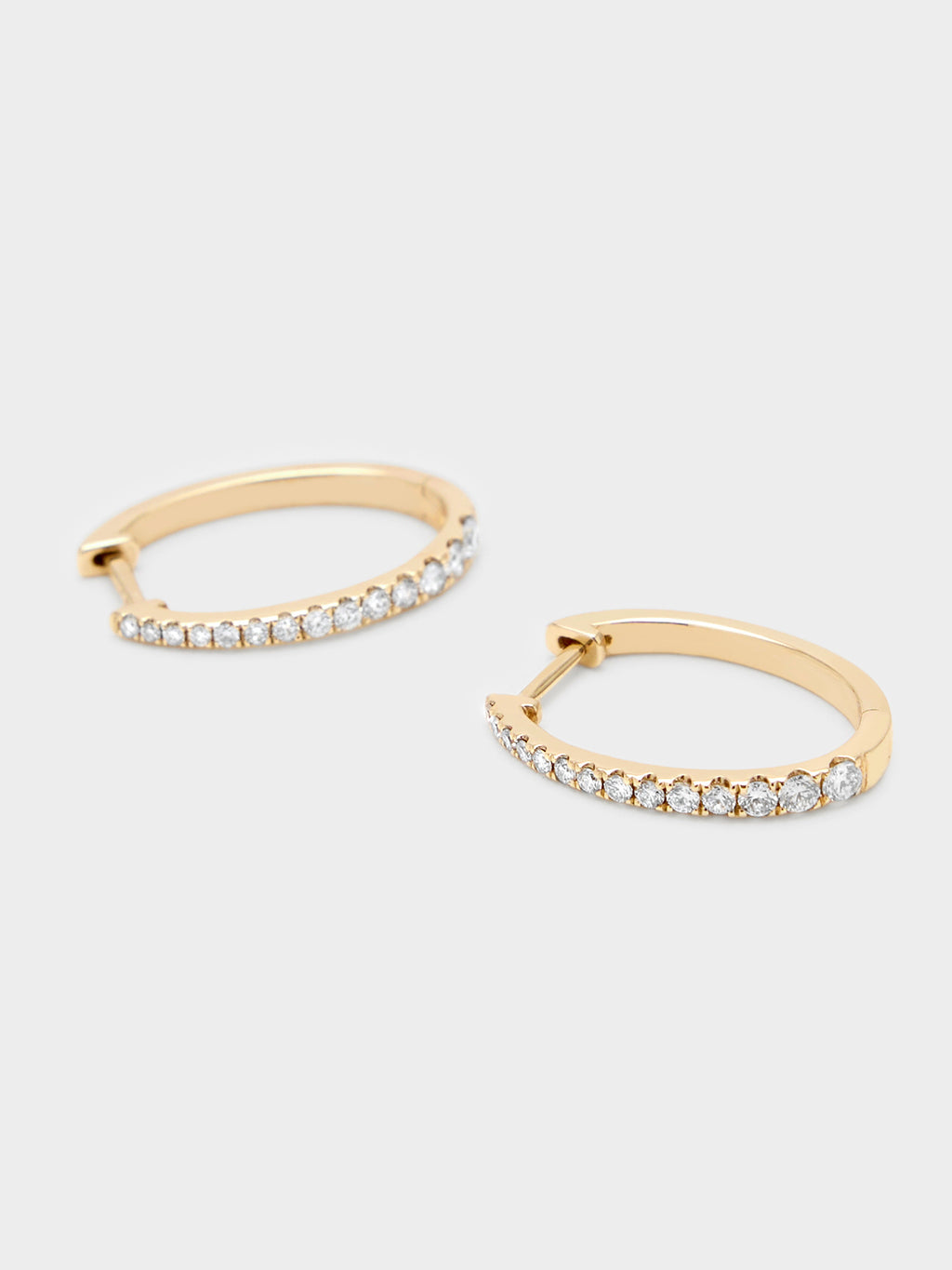 Francie B. Diamond Oval Hoop Earrings - Saint Bernard