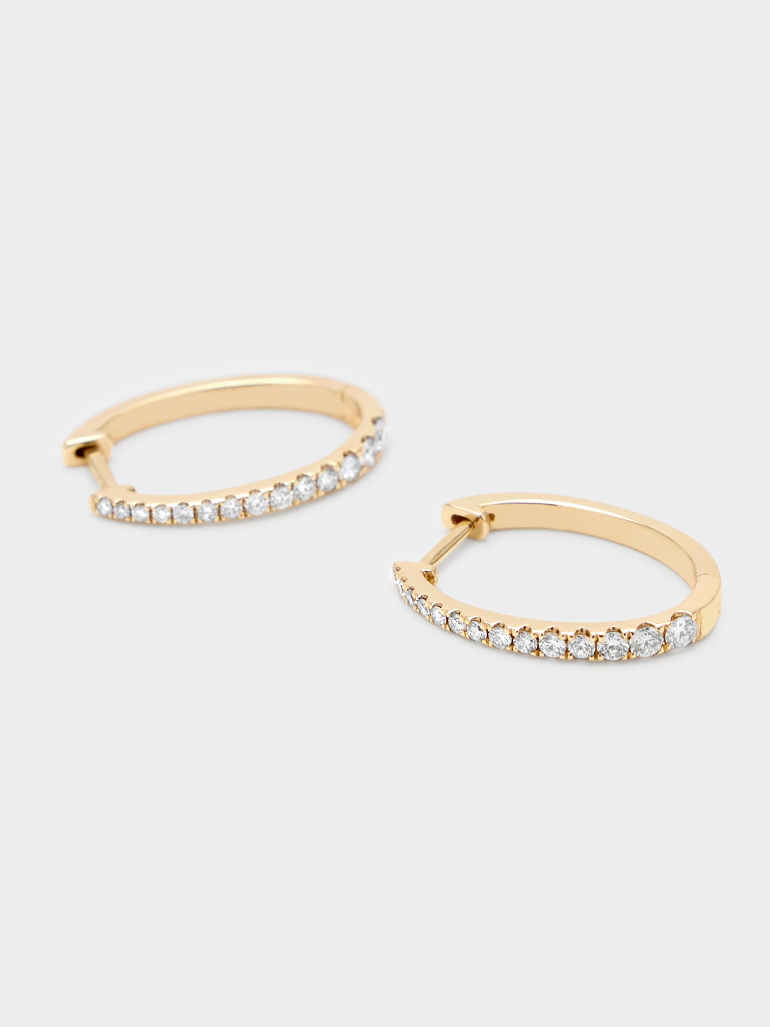 Francie B. Diamond Oval Hoop Earrings - Saint Bernard