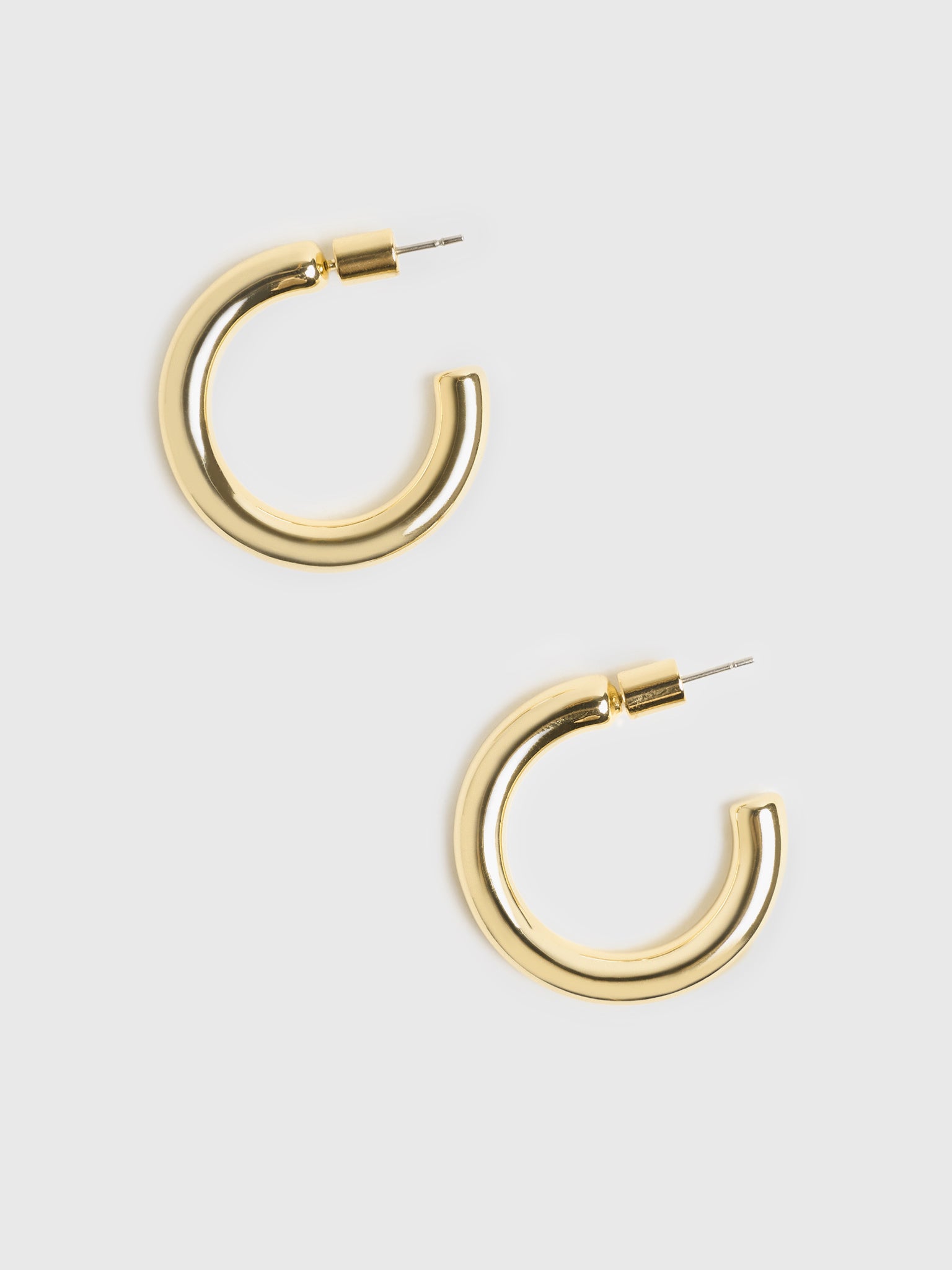 Electric Picks Holden Hoop Earrings - Saint Bernard