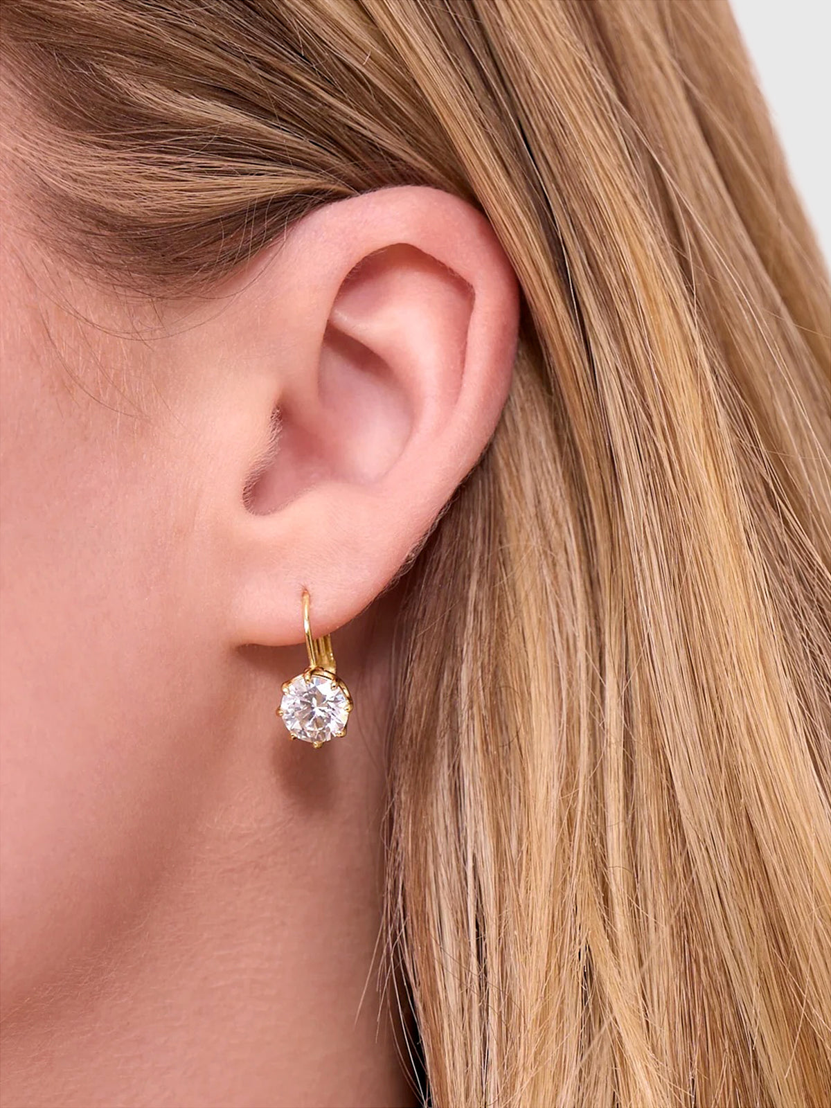 Electric Picks The Bentley Earrings - Saint Bernard