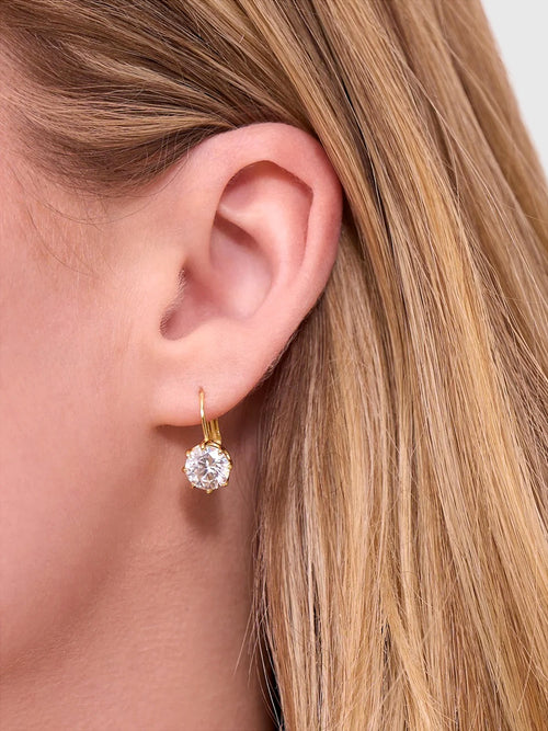 Electric Picks The Bentley Earrings - Saint Bernard