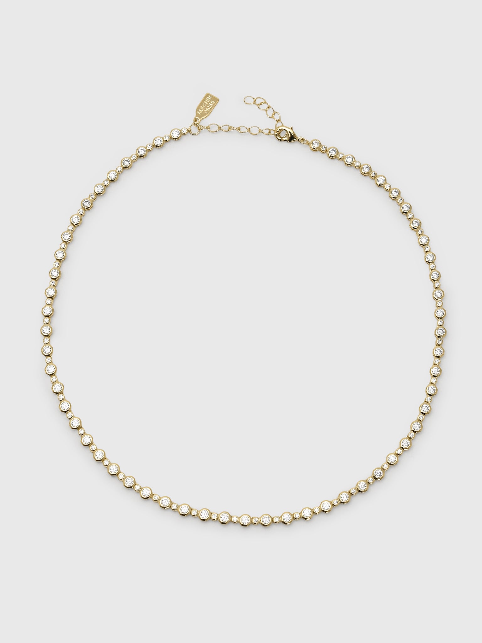 Electric Picks Trust Fund Necklace - Saint Bernard