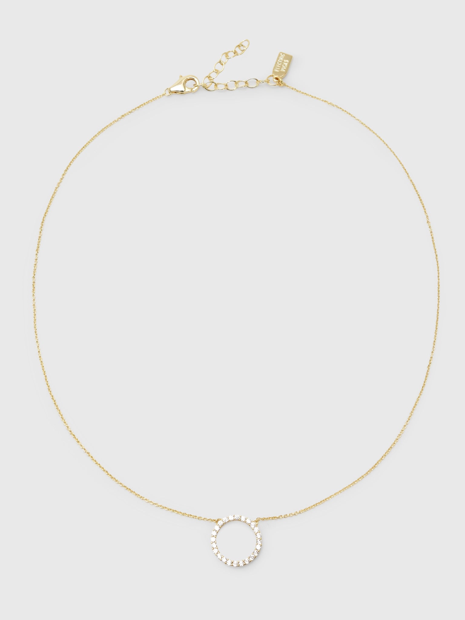 Electric Picks Inner Circle Necklace - Saint Bernard
