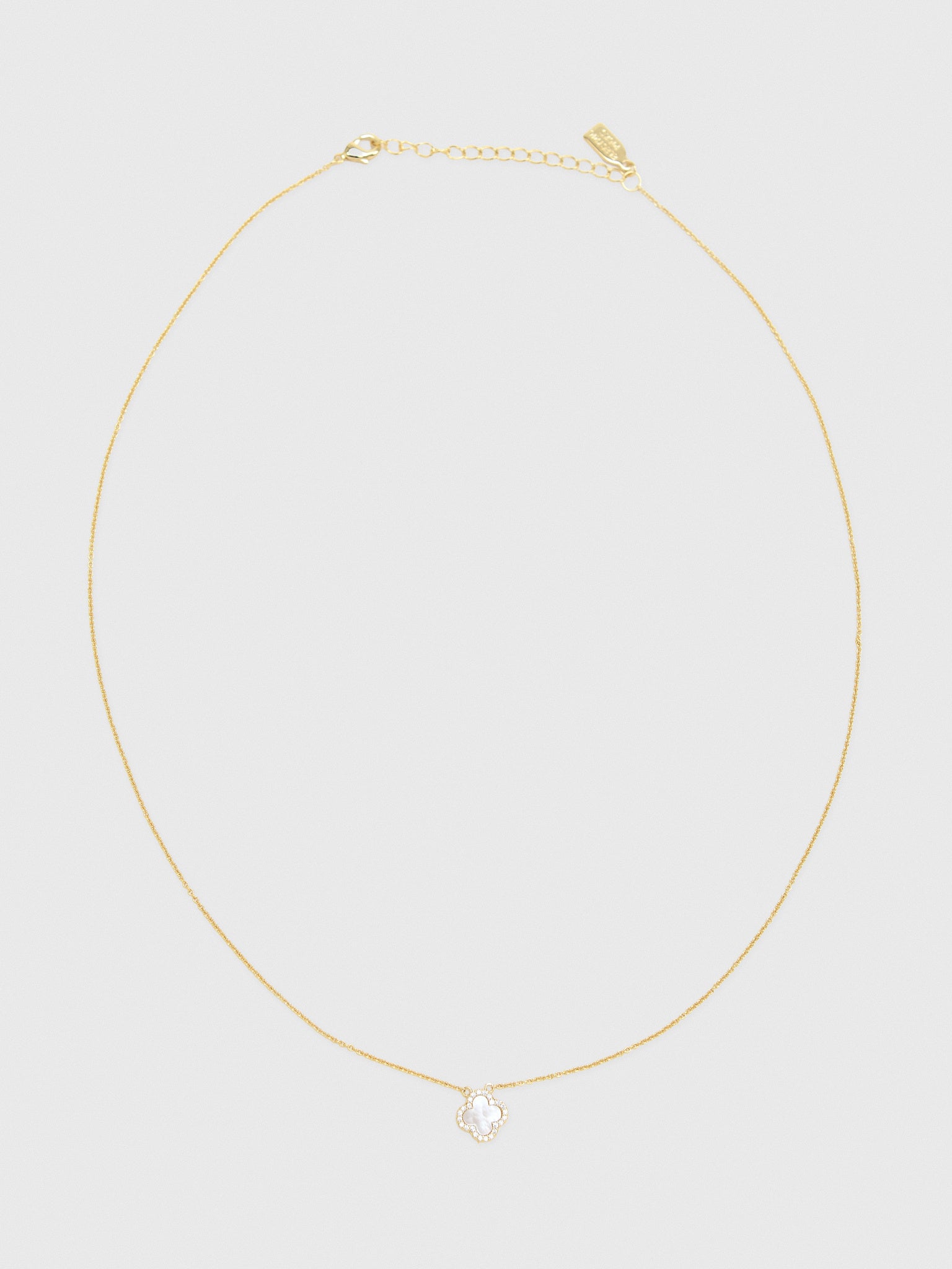 Electric Picks Mini White Icon Necklace - Saint Bernard