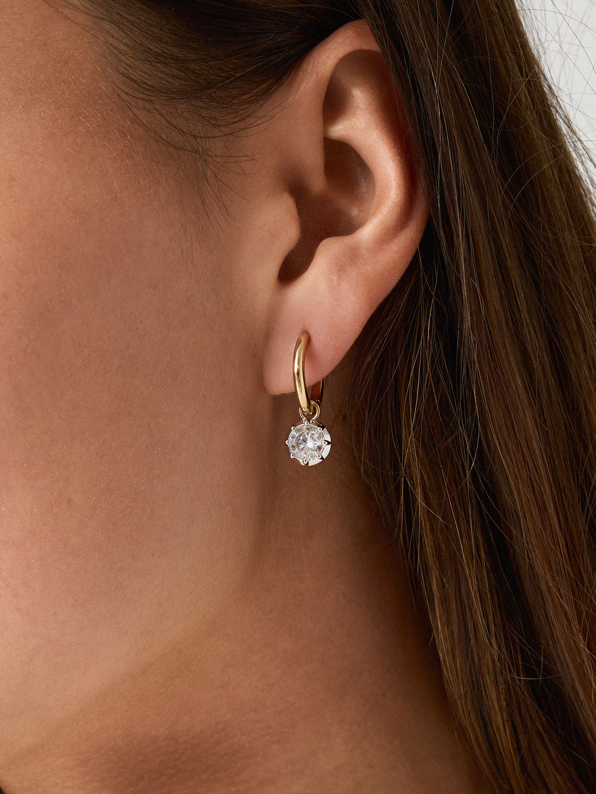 Electric Picks Harlow Hoop Earrings - Saint Bernard