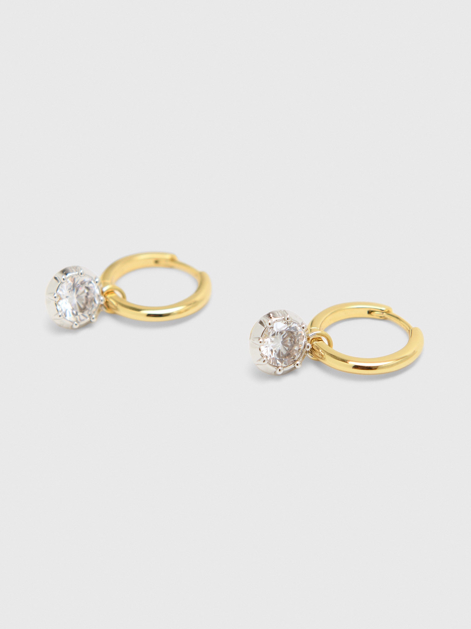 Electric Picks Harlow Hoop Earrings - Saint Bernard