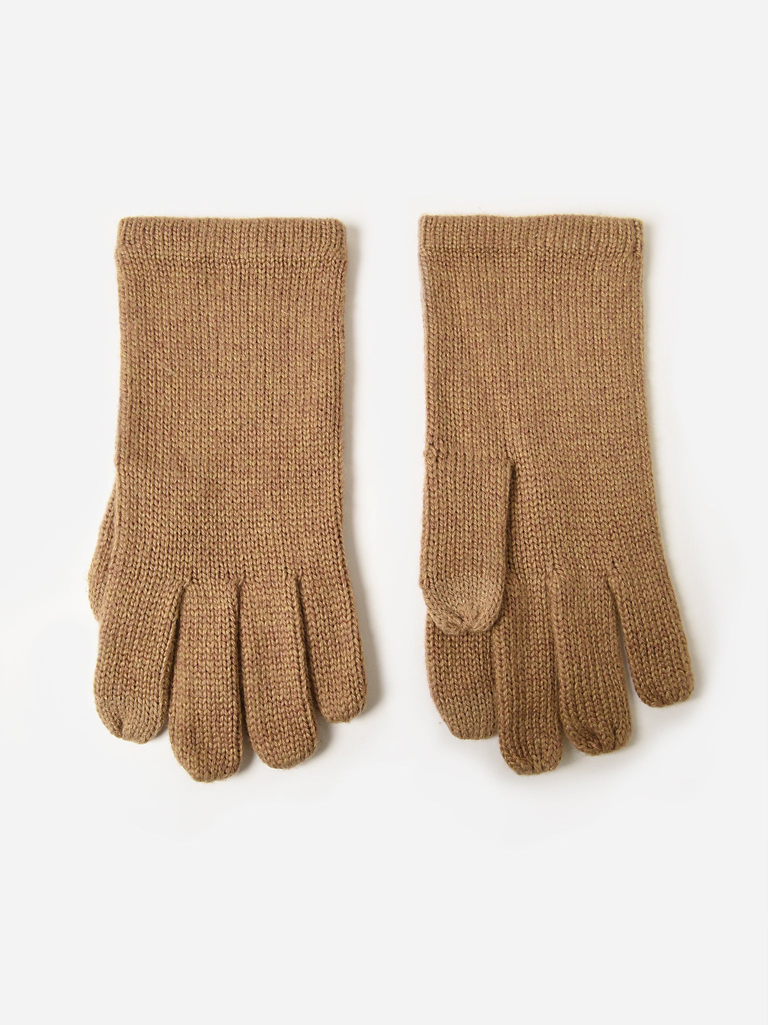 Echo Women's Recycled Touch Gloves - Saint Bernard